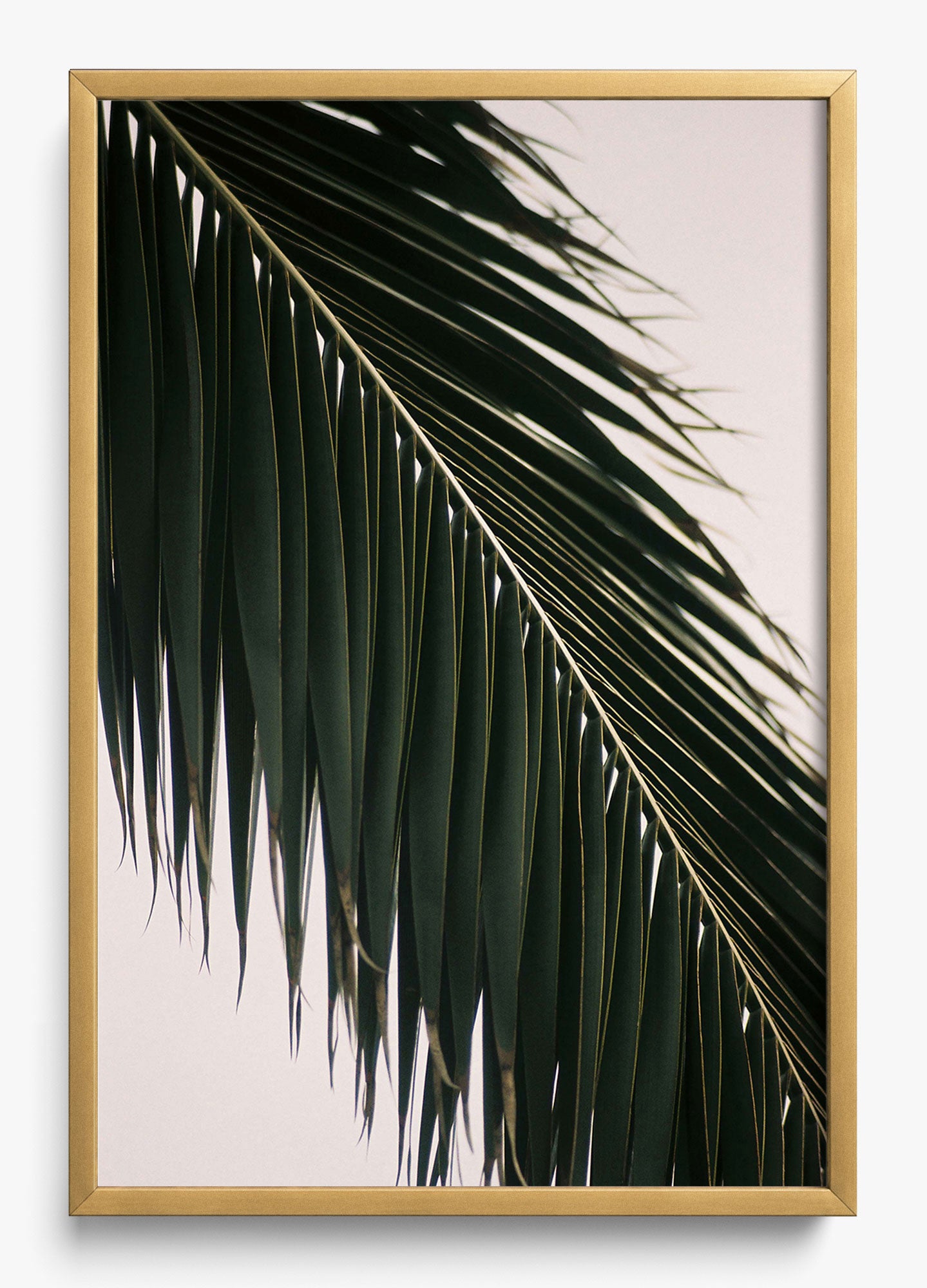 Tropical Covering