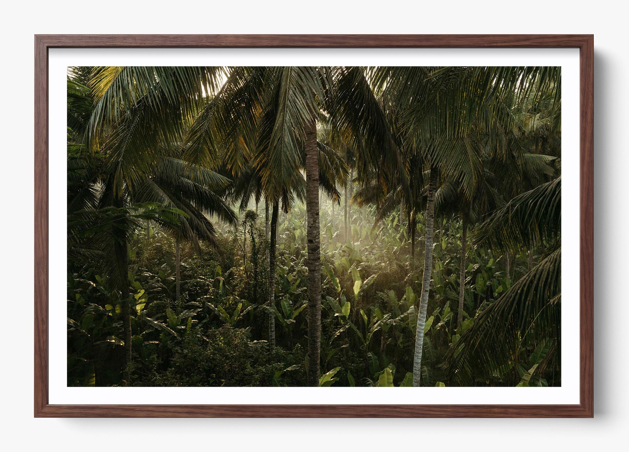 Tropical Delirium