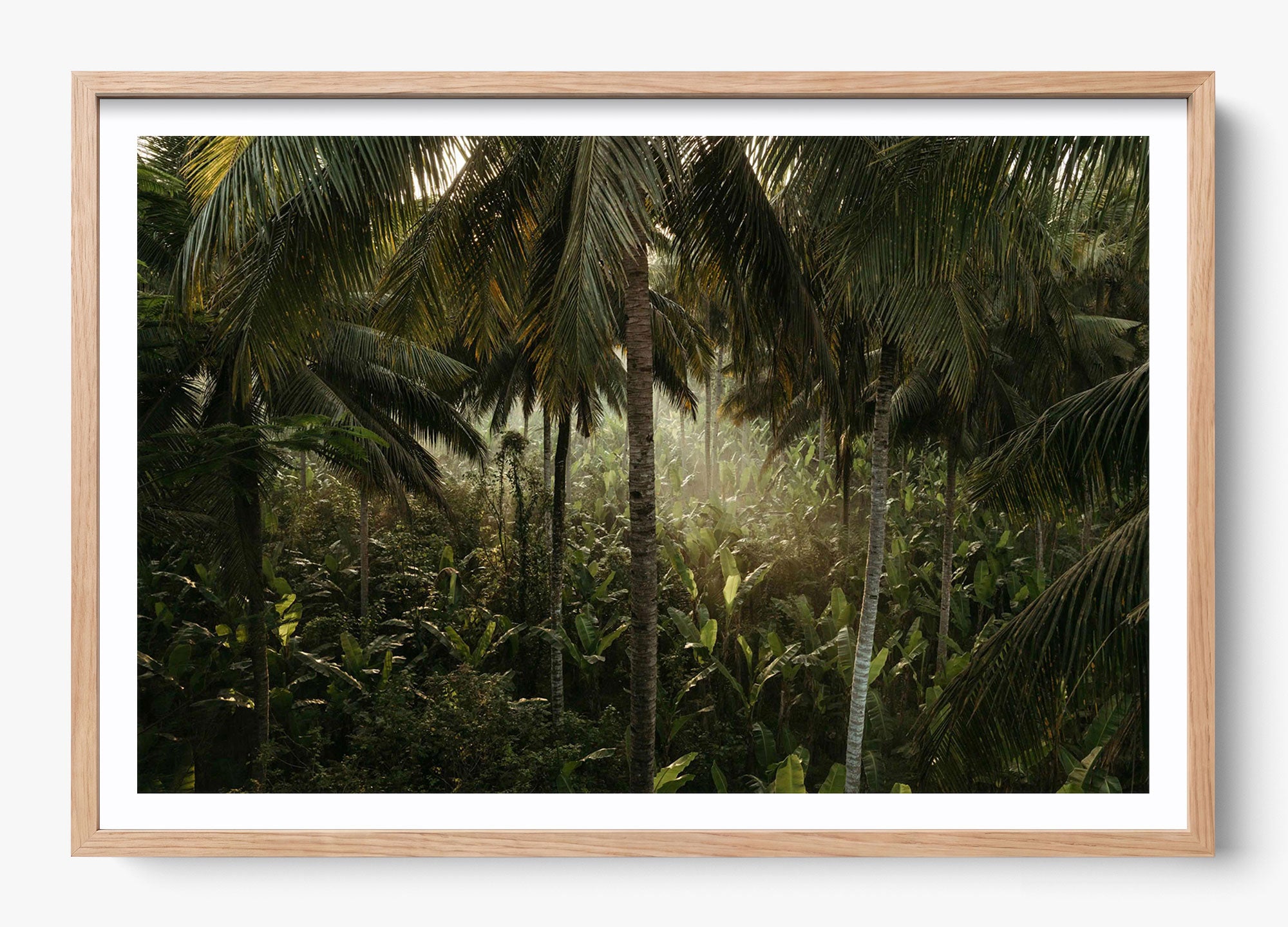 Tropical Delirium
