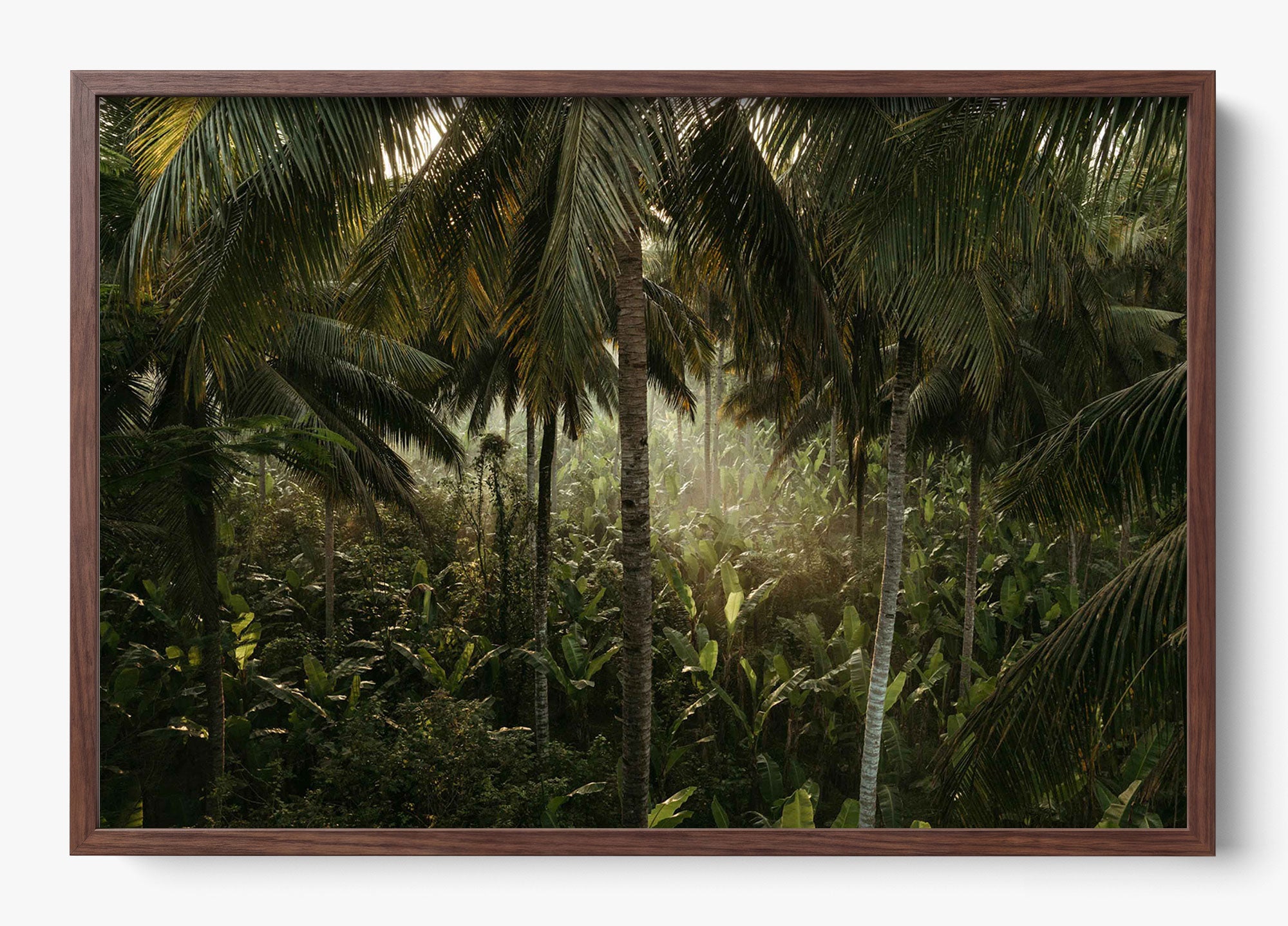 Tropical Delirium
