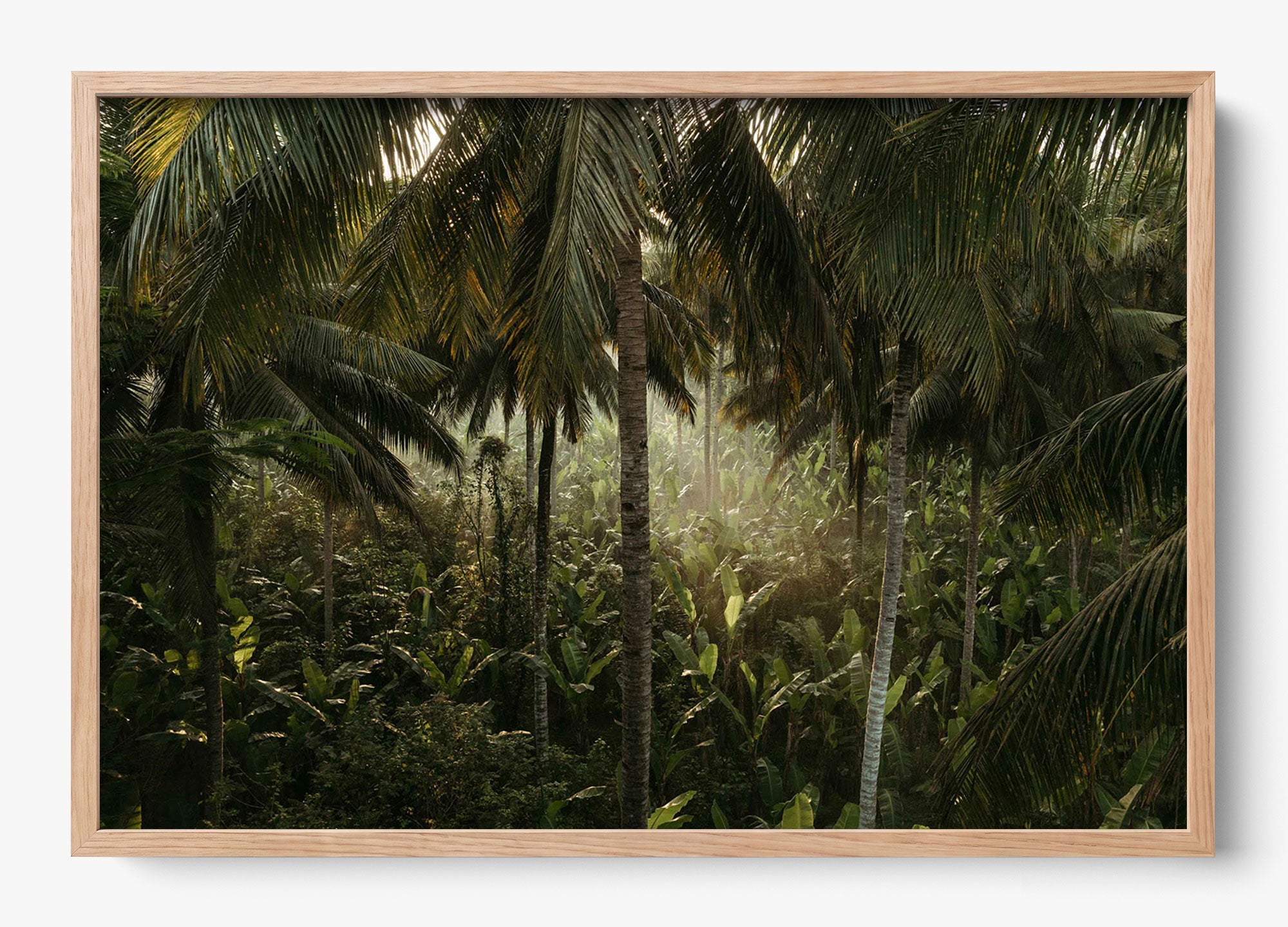 Tropical Delirium