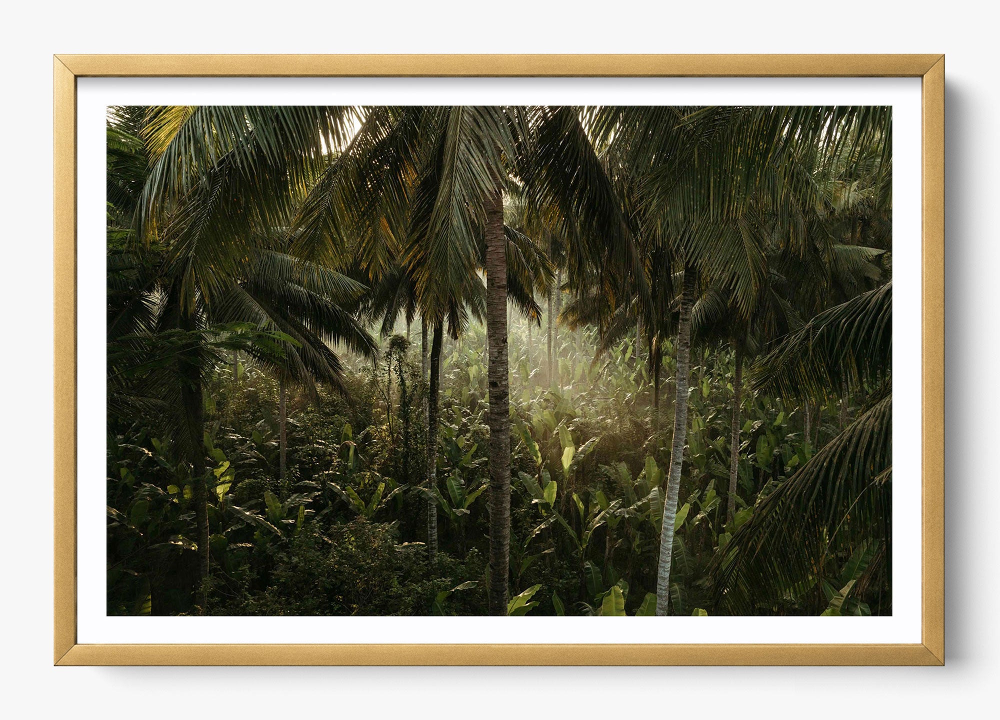 Tropical Delirium