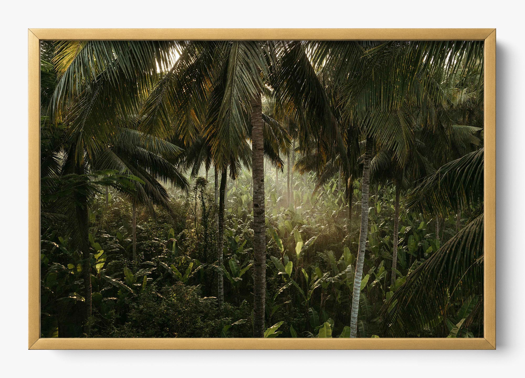 Tropical Delirium
