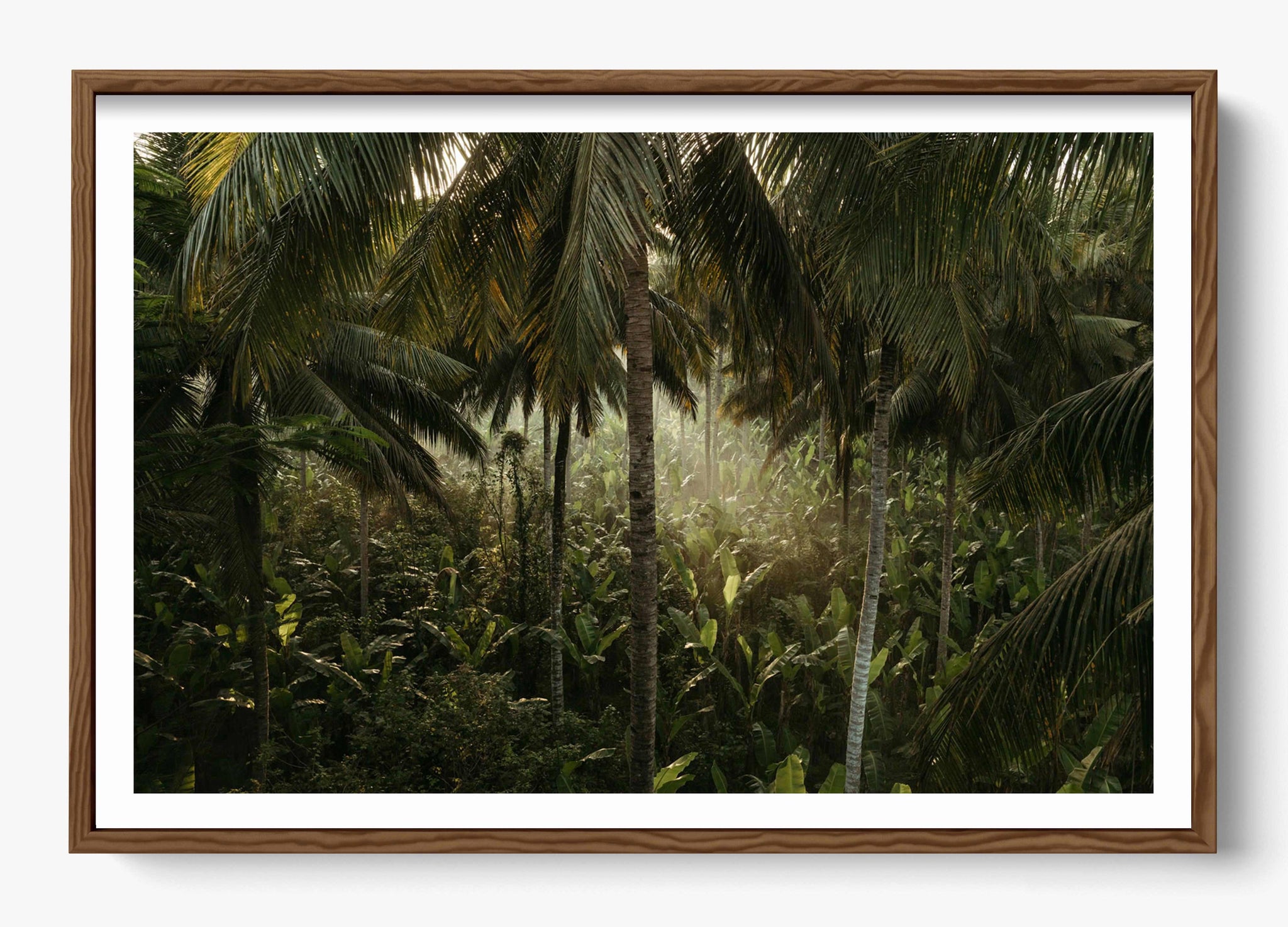 Tropical Delirium