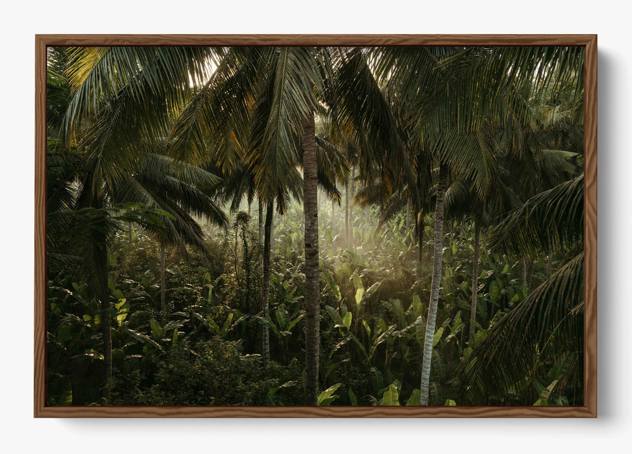 Tropical Delirium