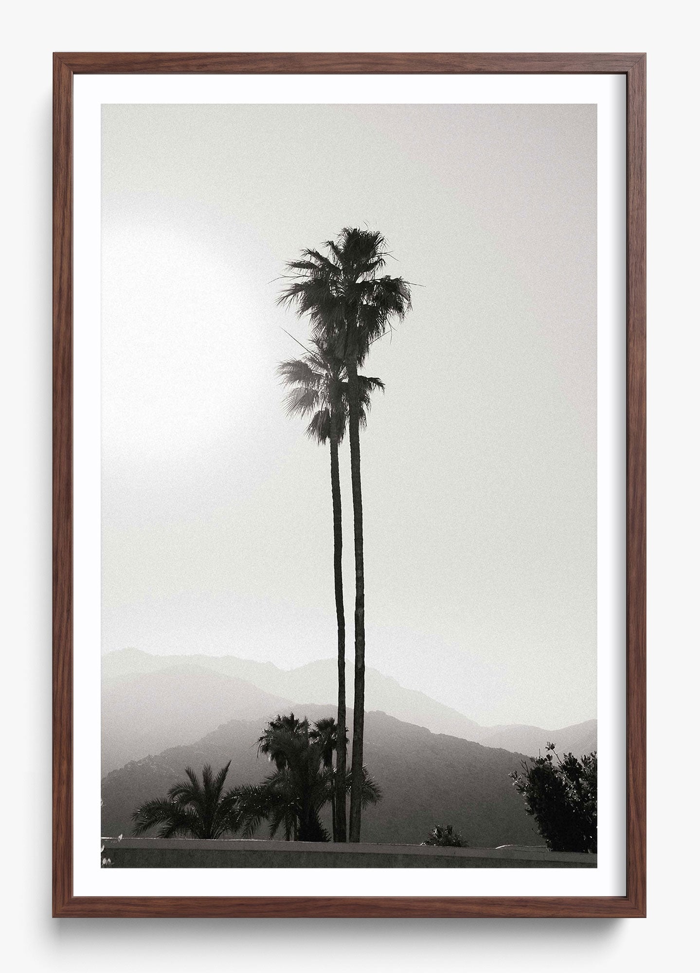 Twinning Palms