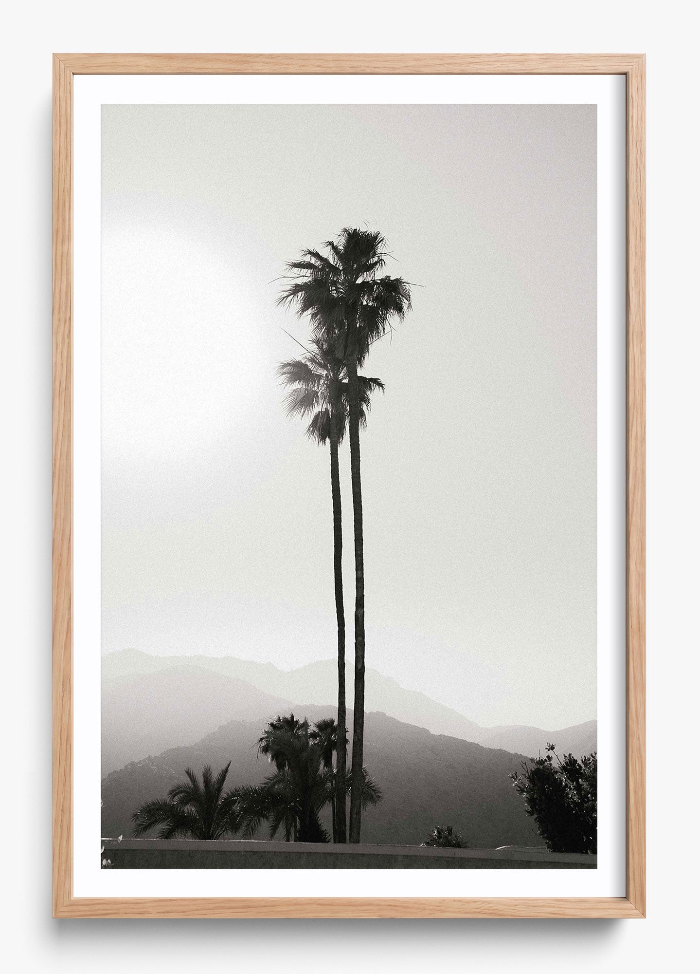 Twinning Palms