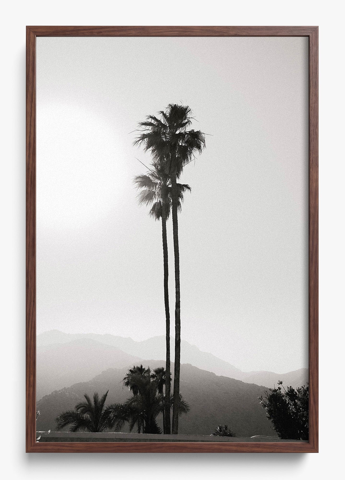 Twinning Palms