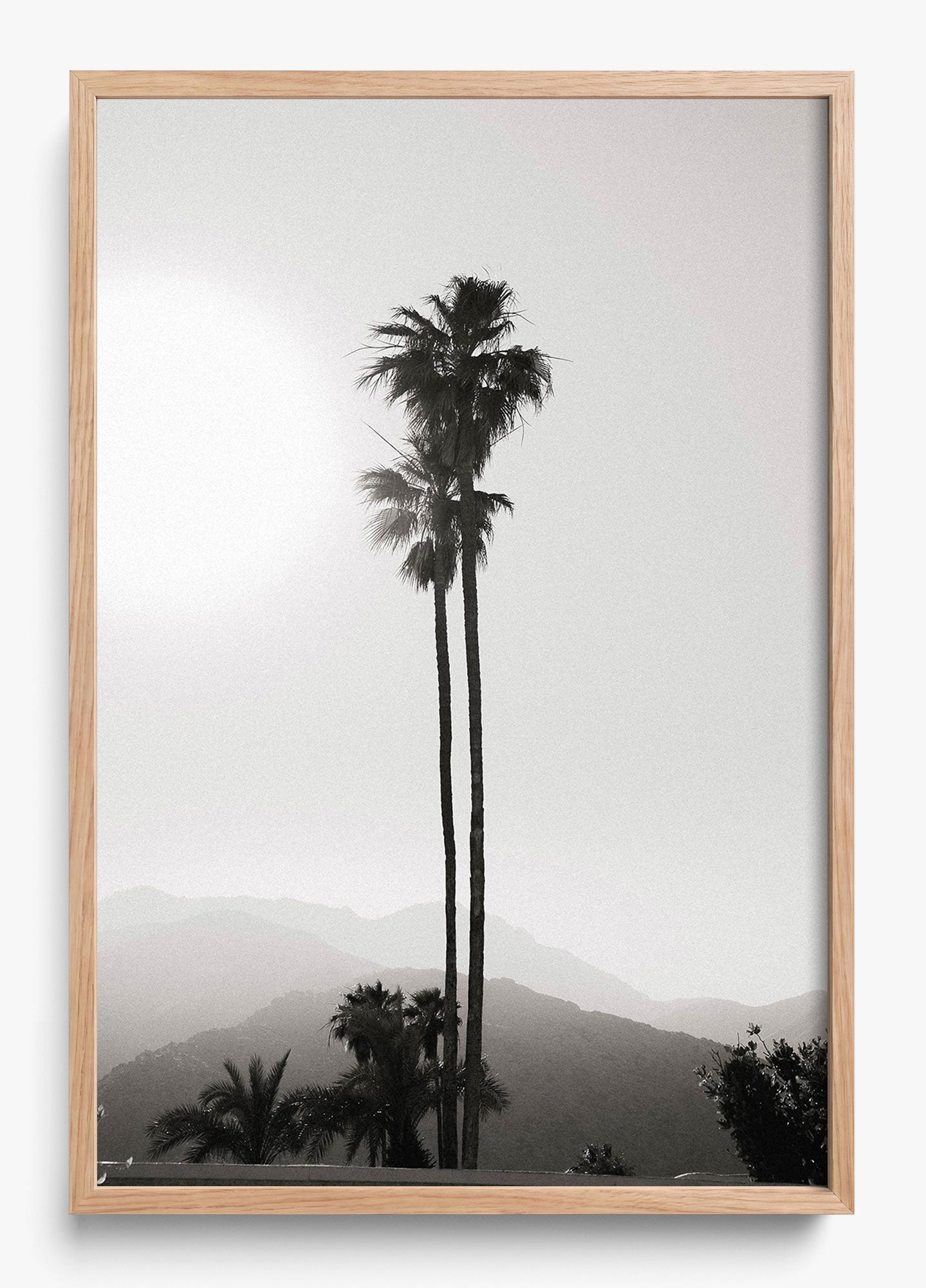 Twinning Palms