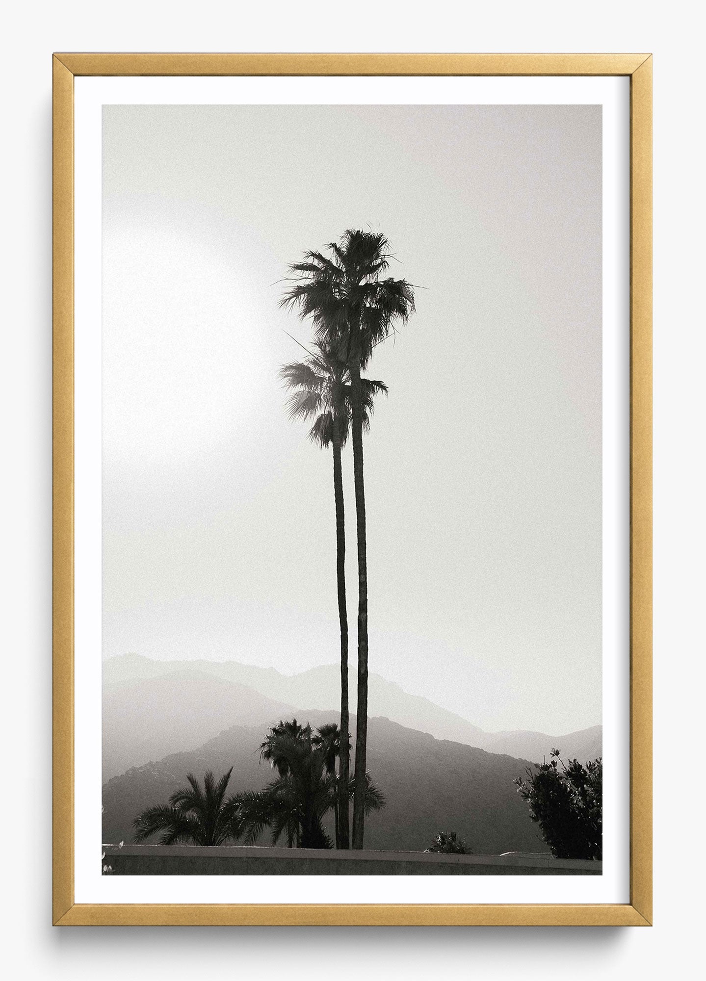 Twinning Palms