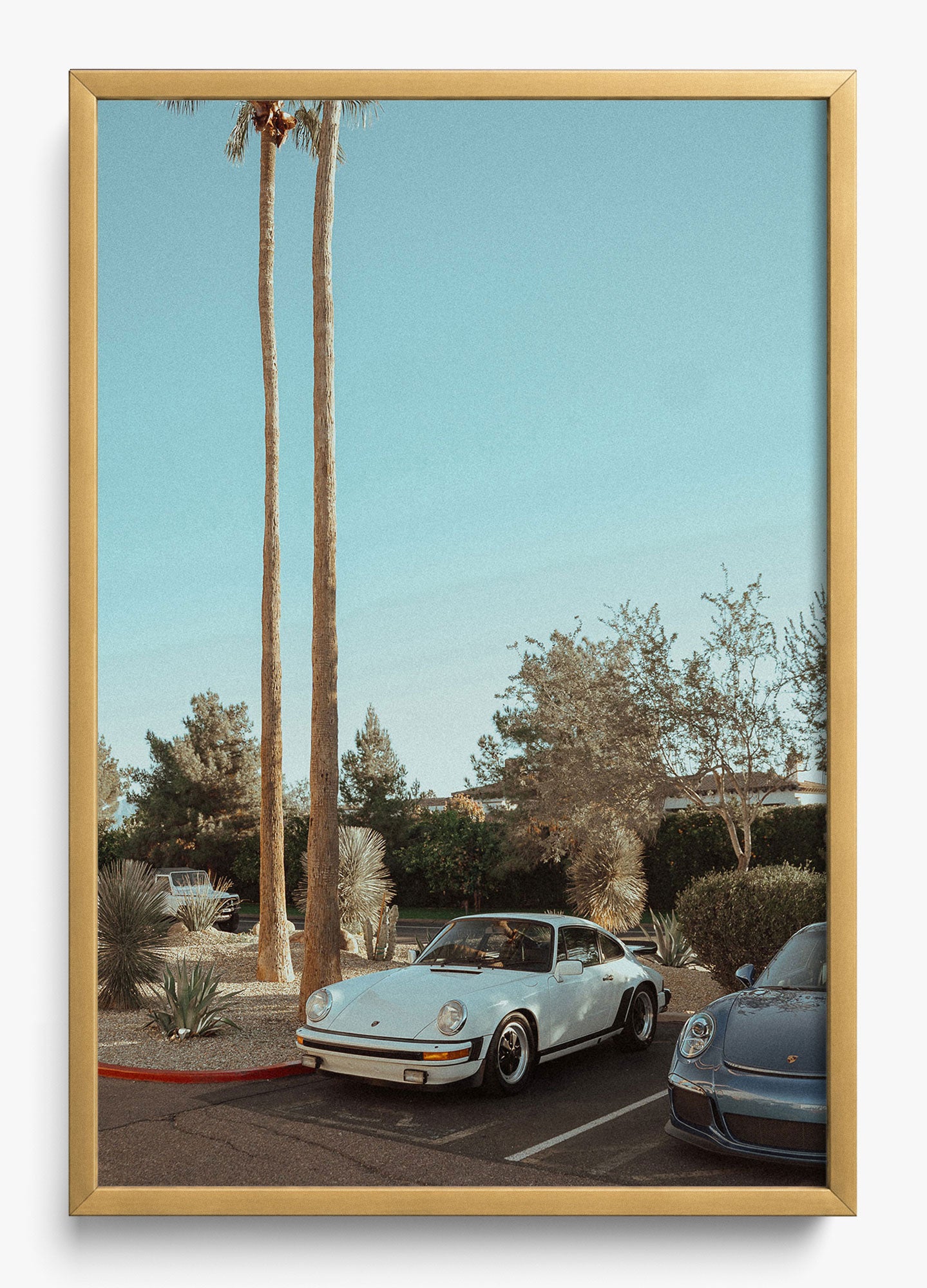 Wait In Palm Springs