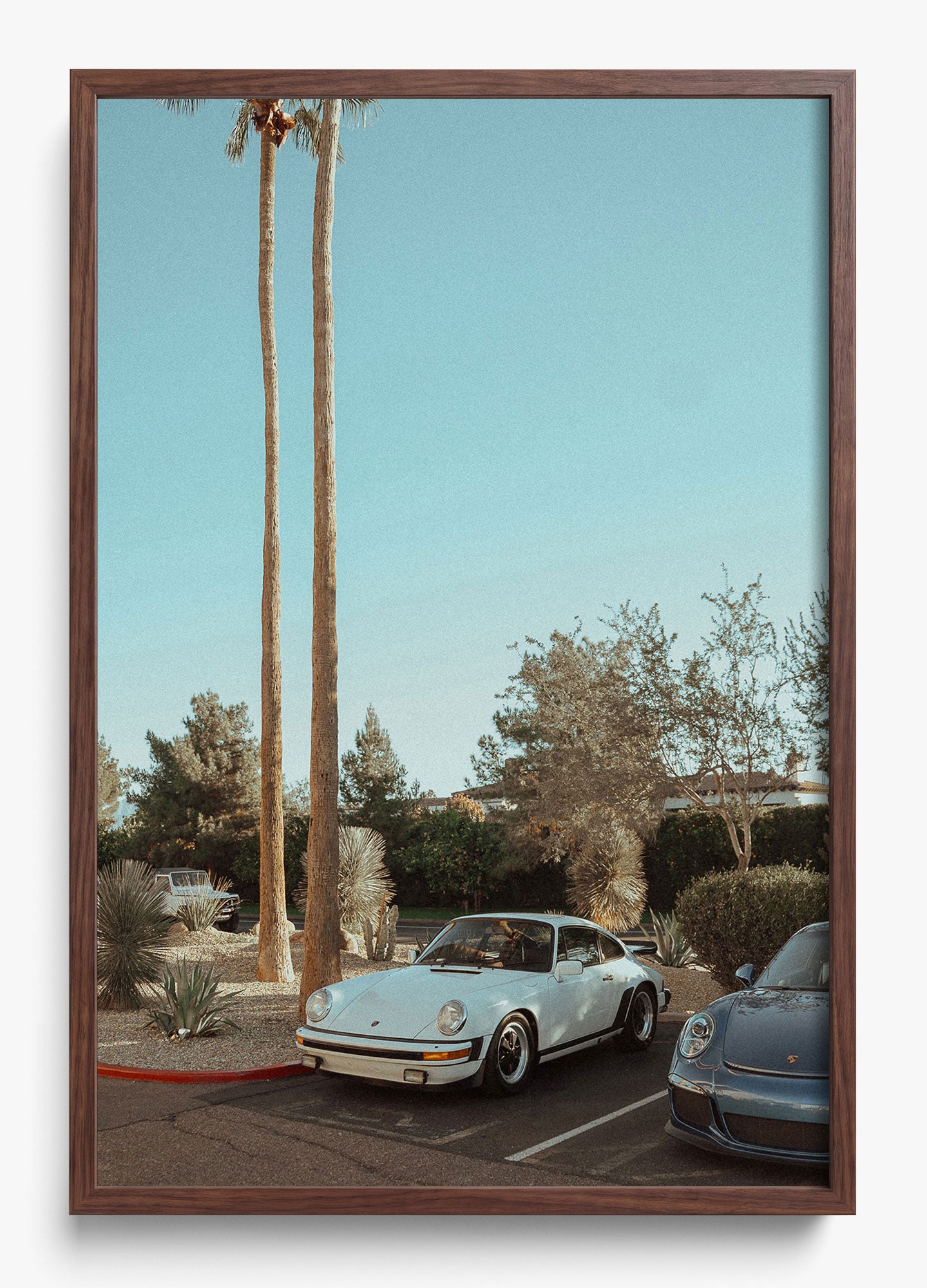 Wait In Palm Springs