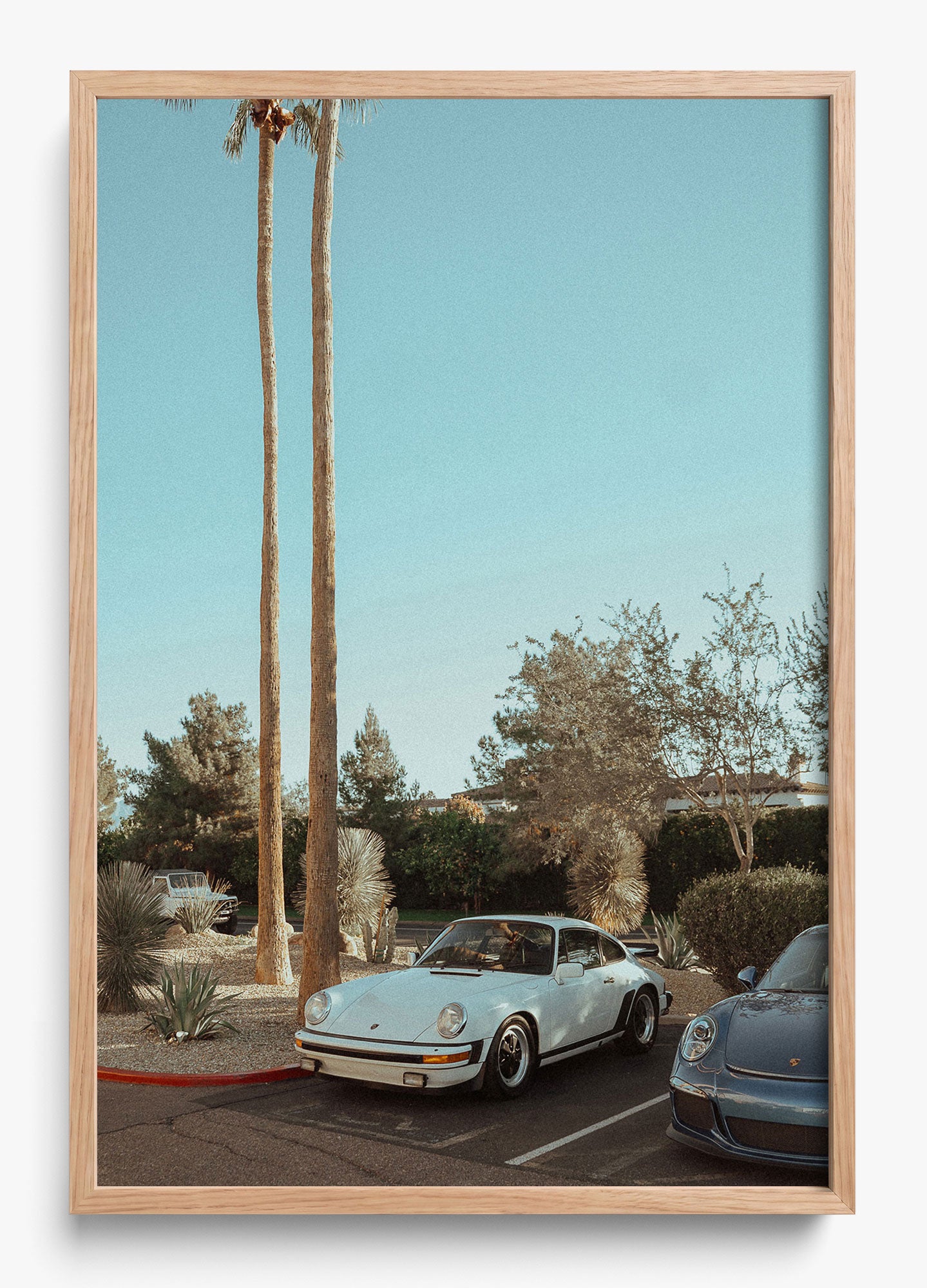 Wait In Palm Springs
