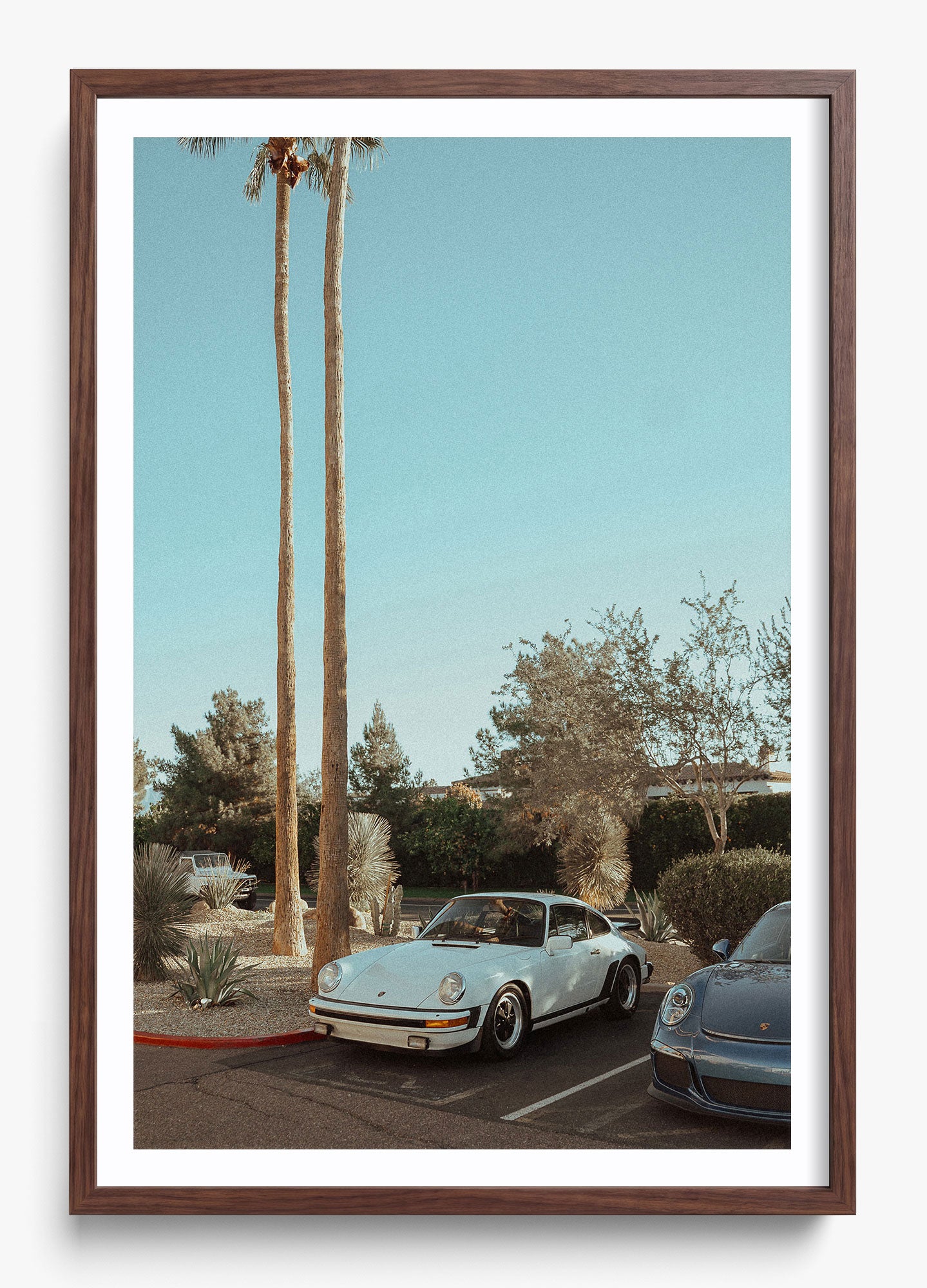 Wait In Palm Springs