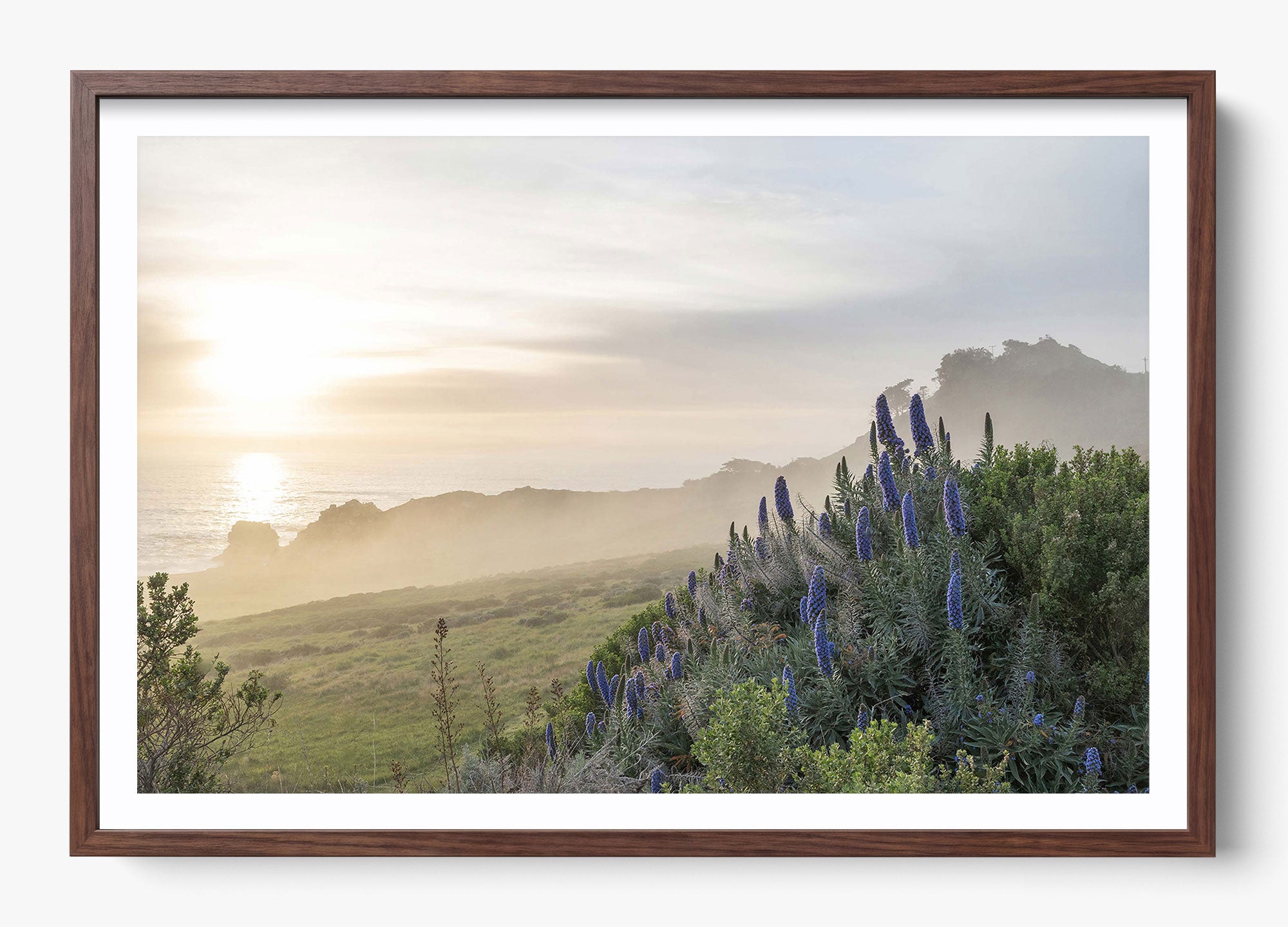 Wild Coast