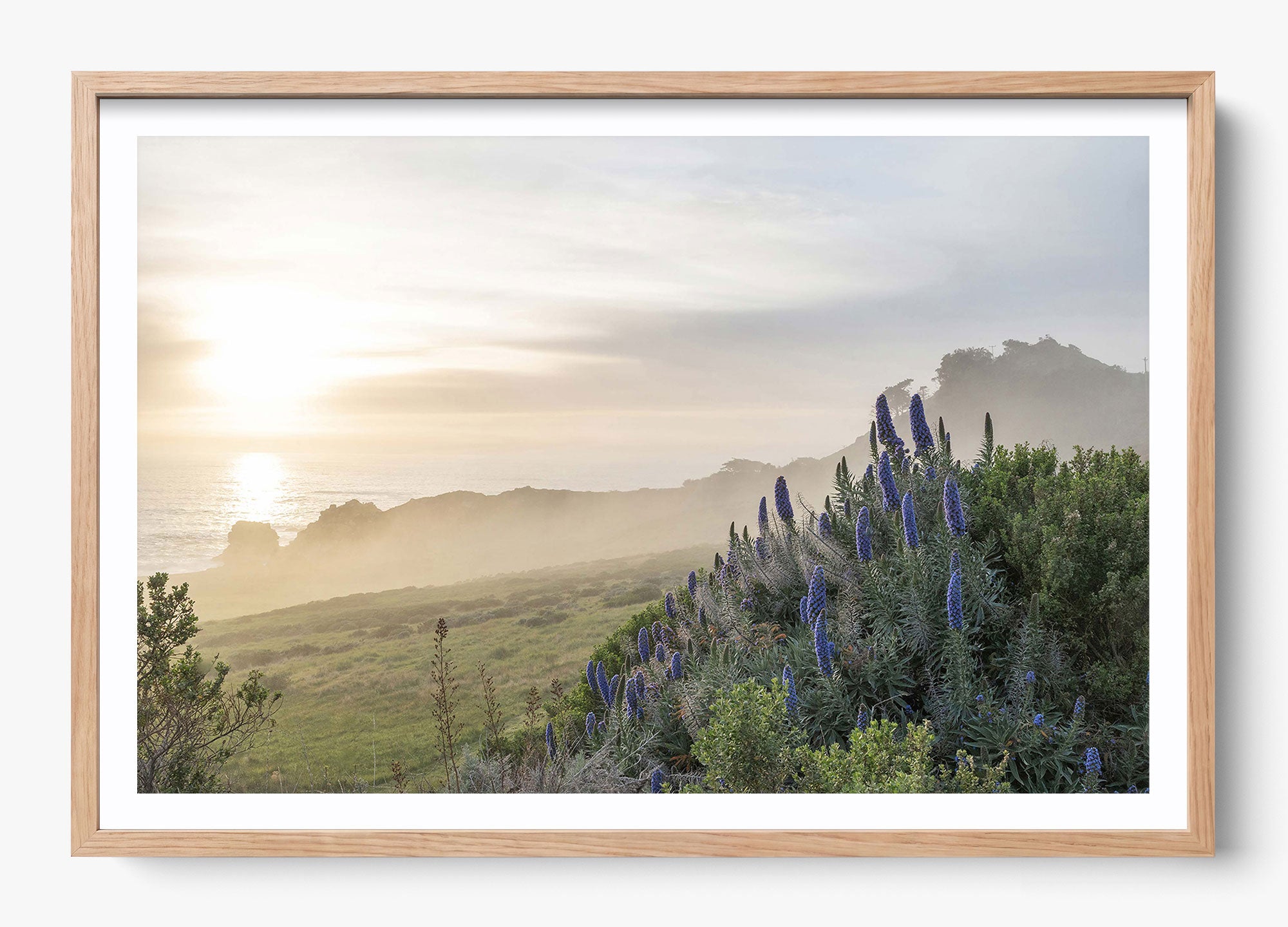 Wild Coast