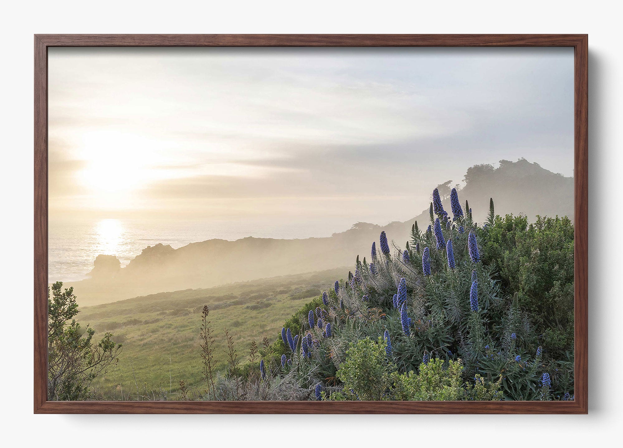 Wild Coast