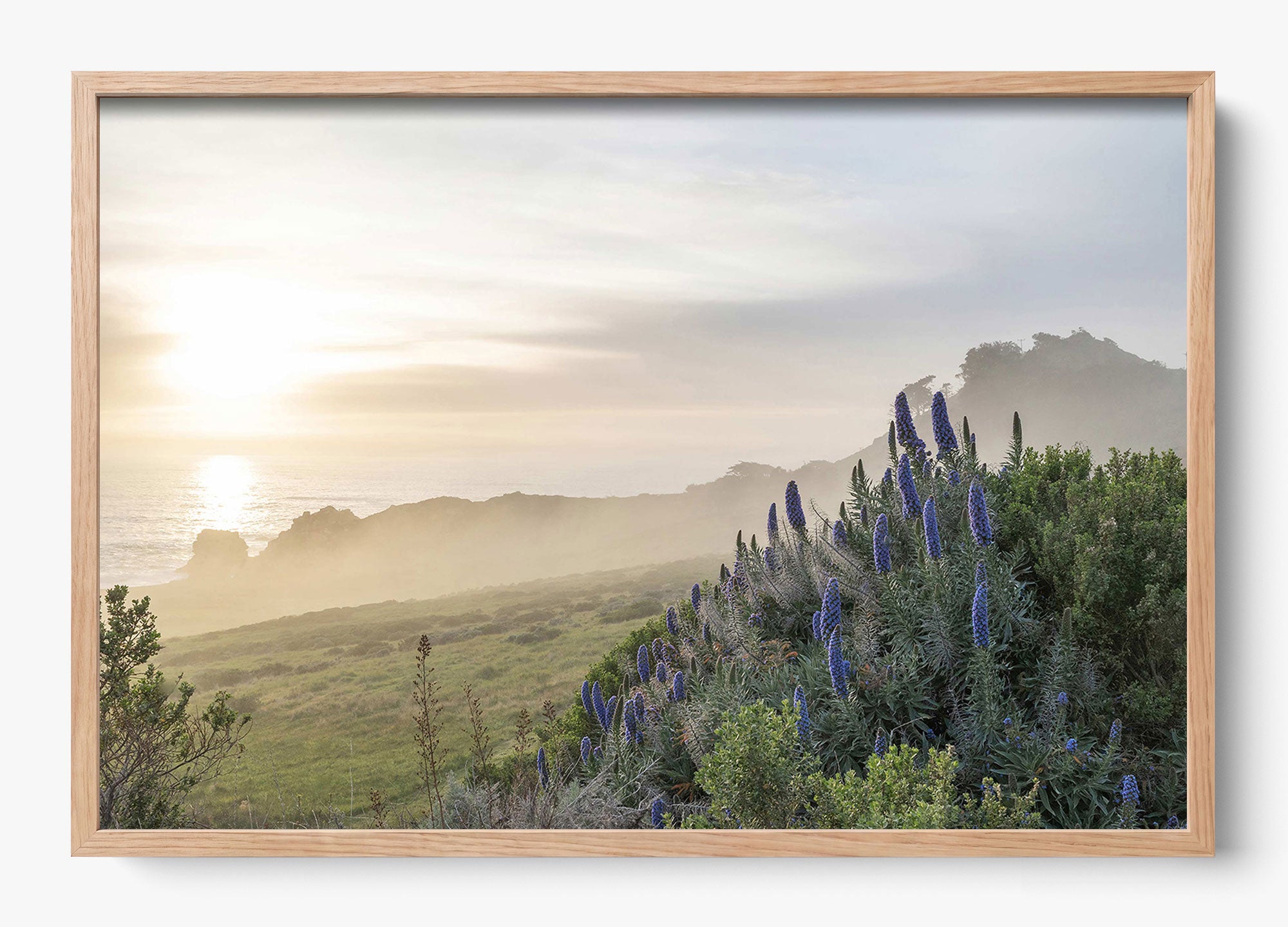 Wild Coast