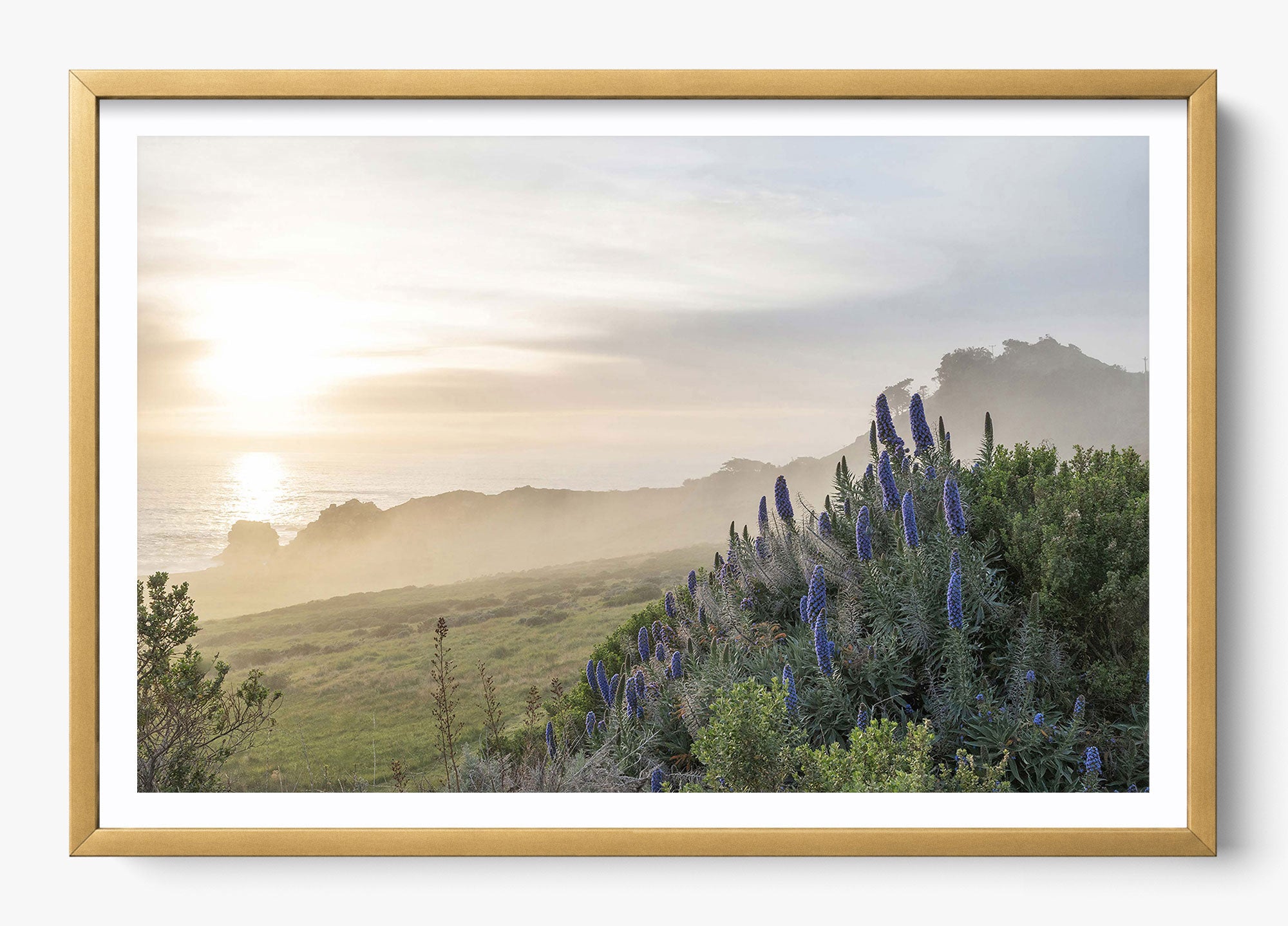 Wild Coast