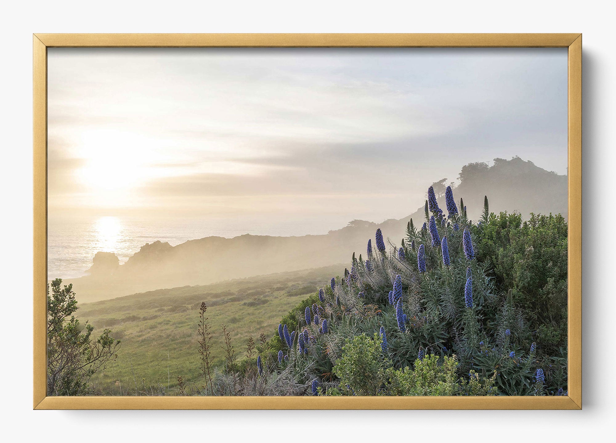 Wild Coast