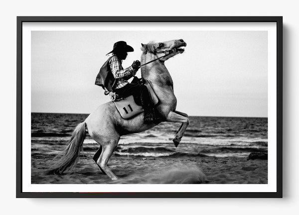 Wild Ones in a Black frame