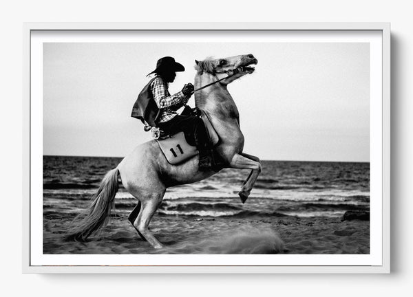 Wild Ones in a White frame