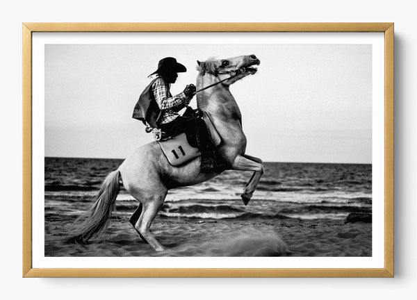 Wild Ones in a Gold frame