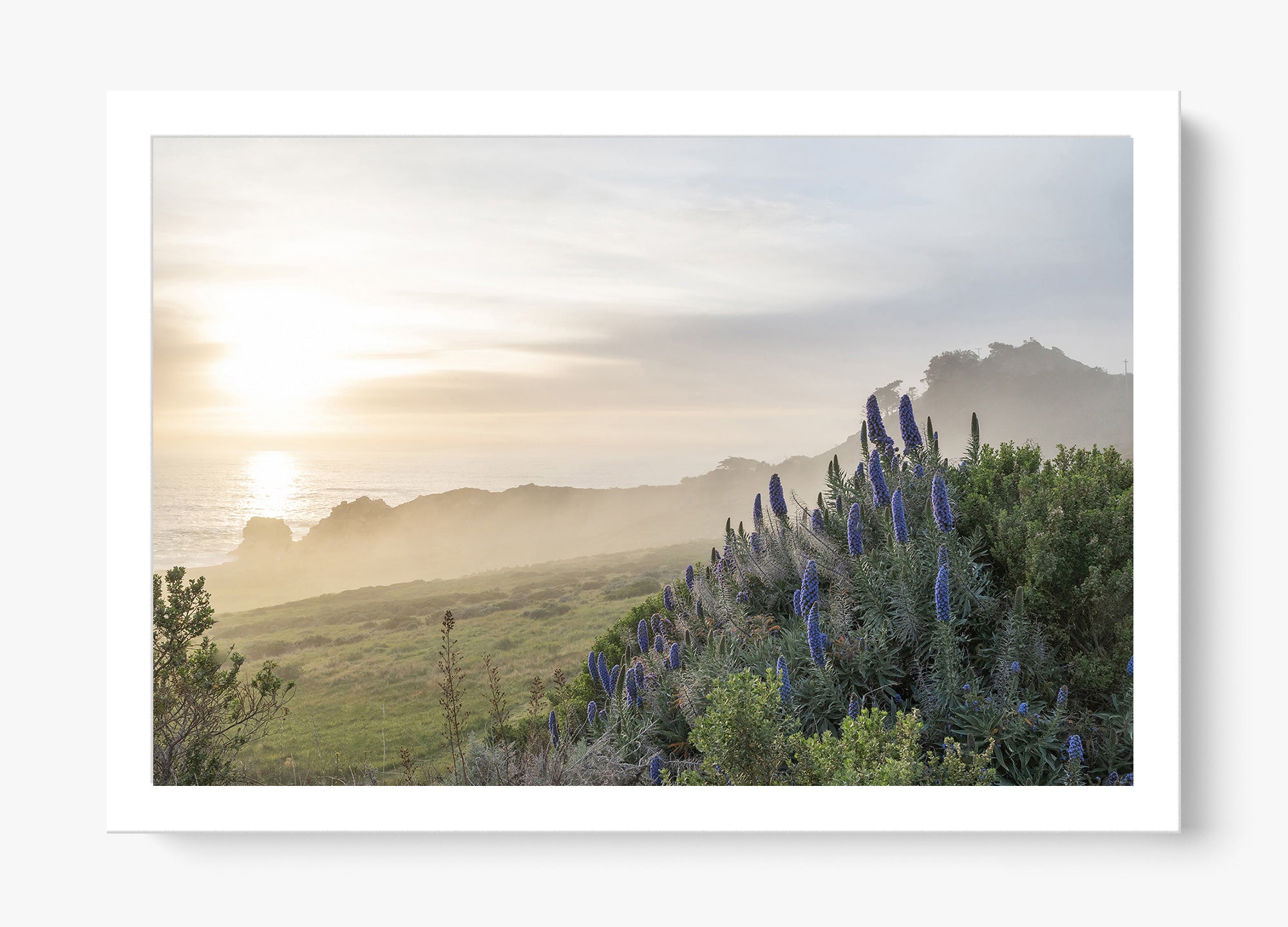 Wild Coast