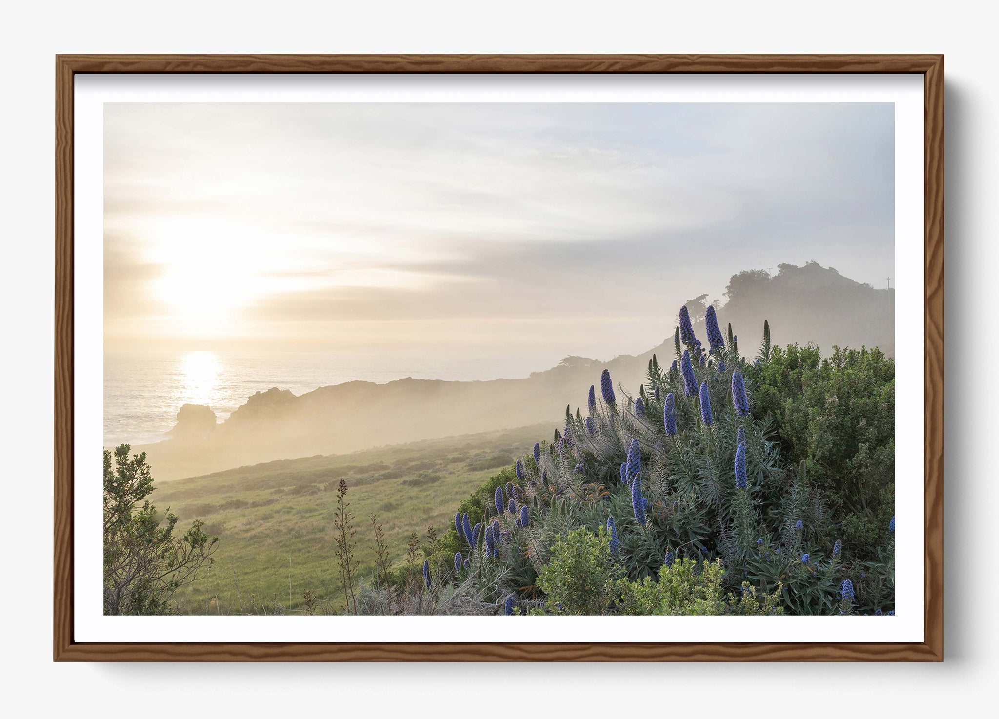 Wild Coast