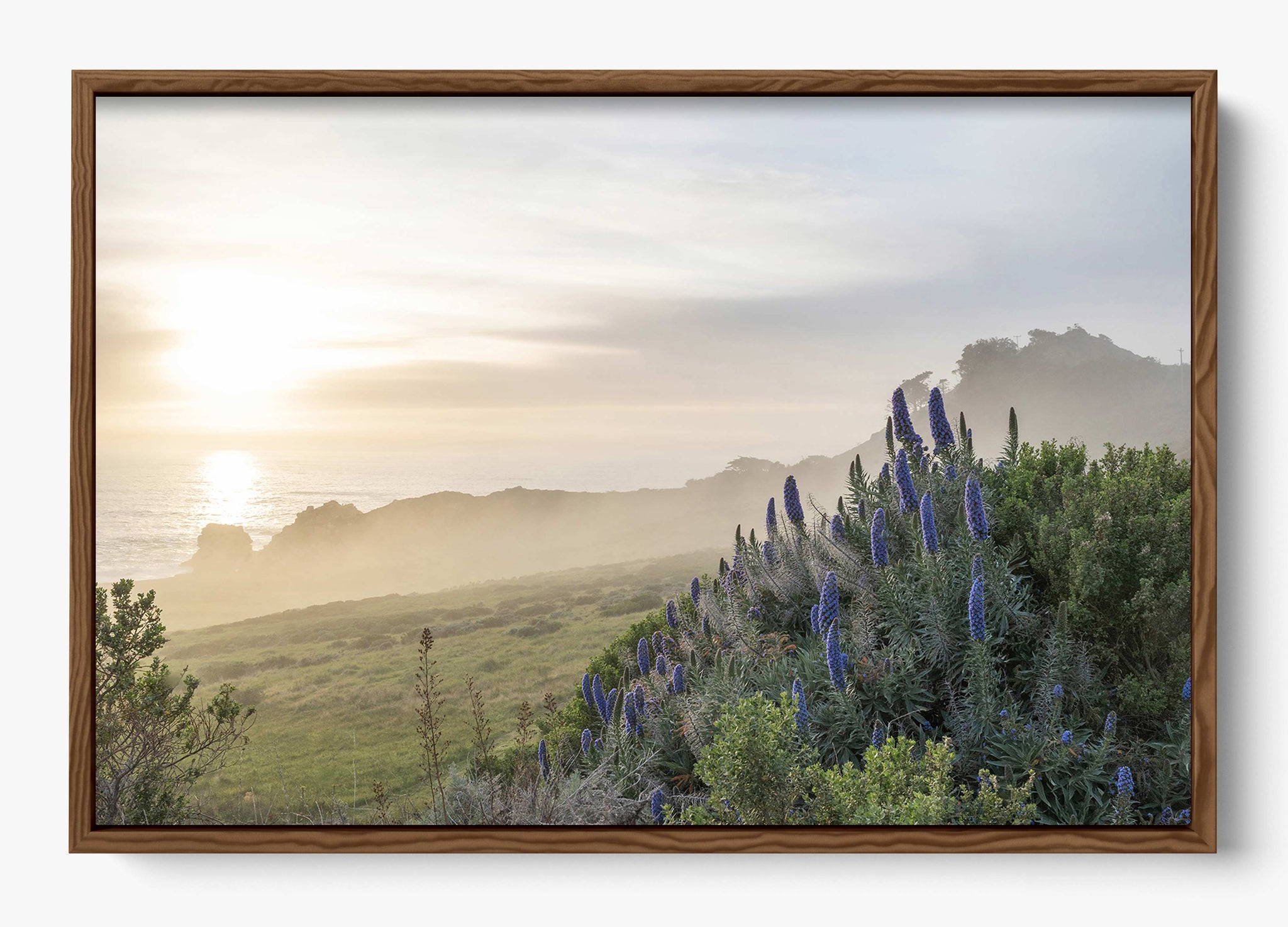 Wild Coast