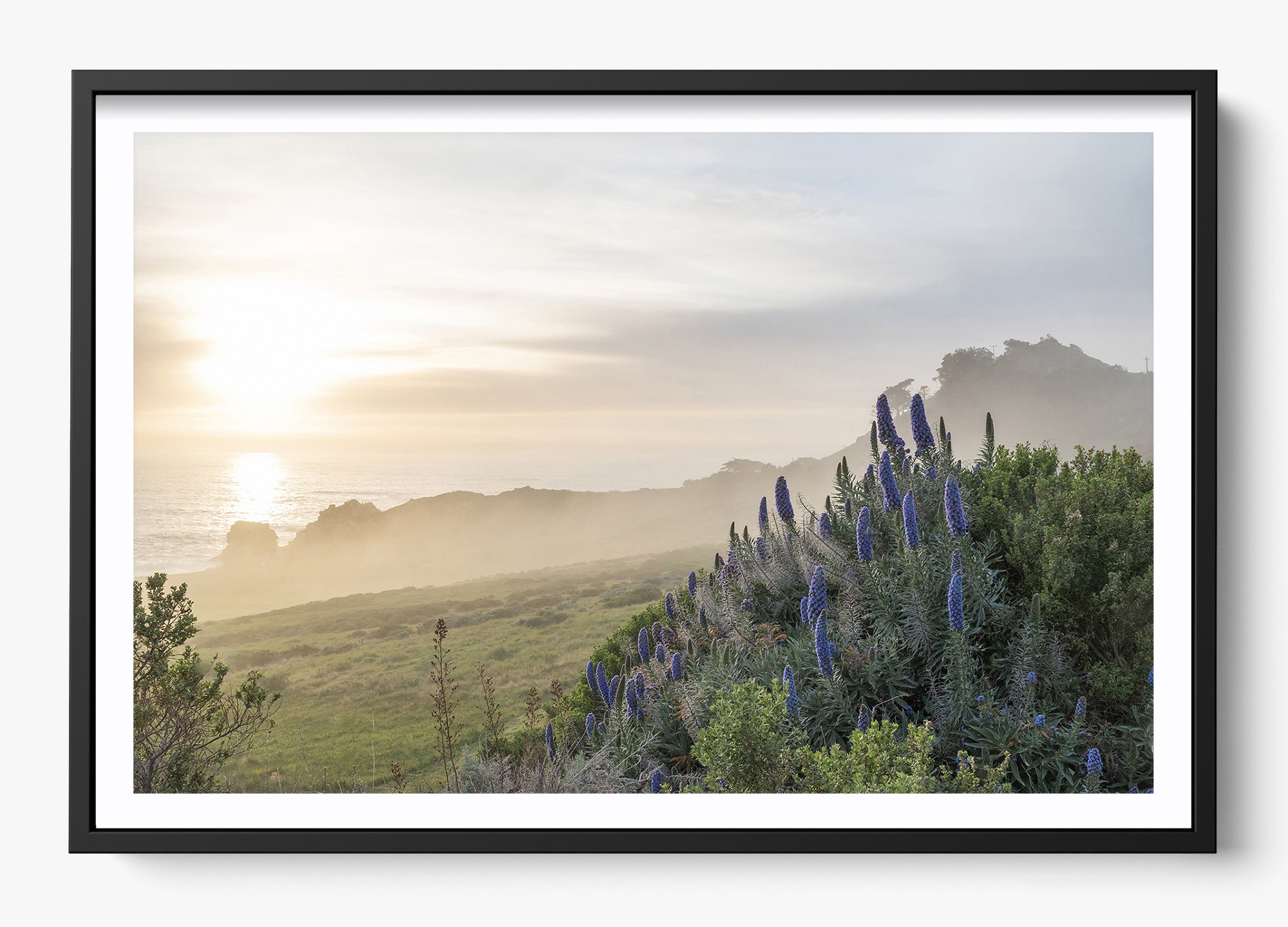 Wild Coast