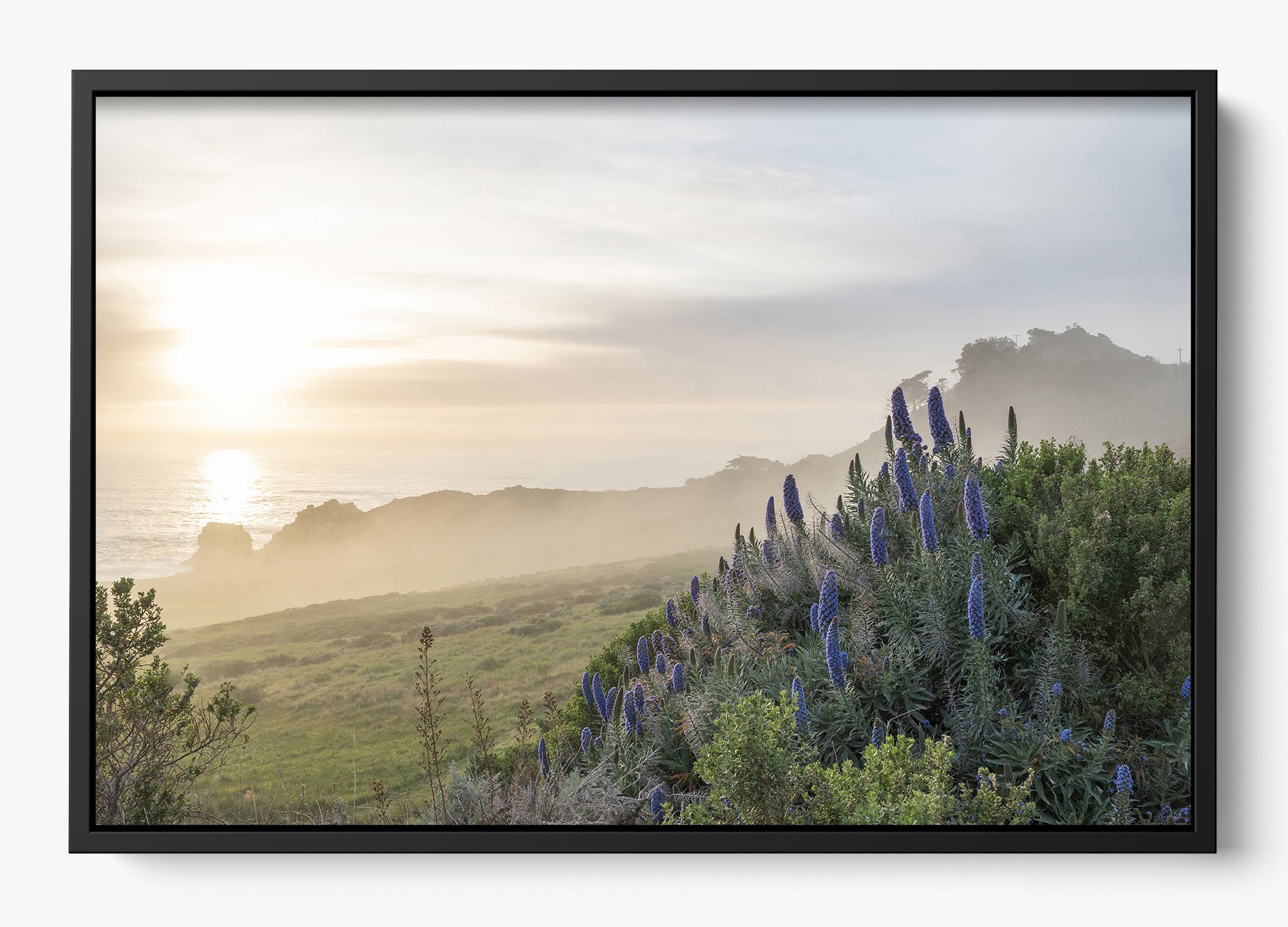 Wild Coast