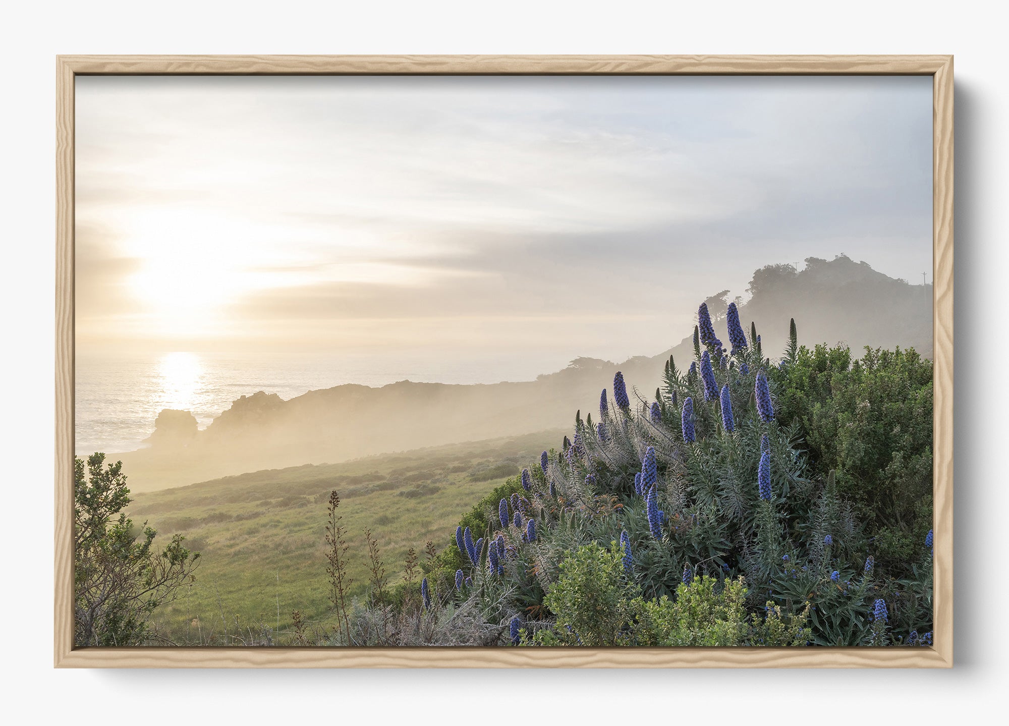 Wild Coast