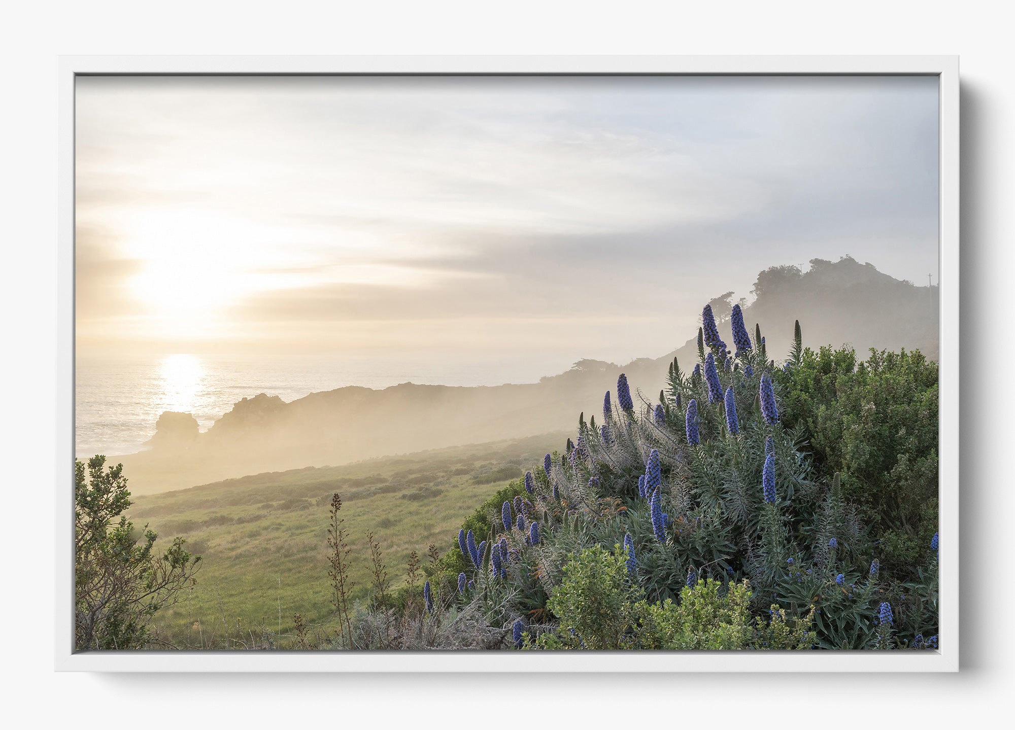 Wild Coast