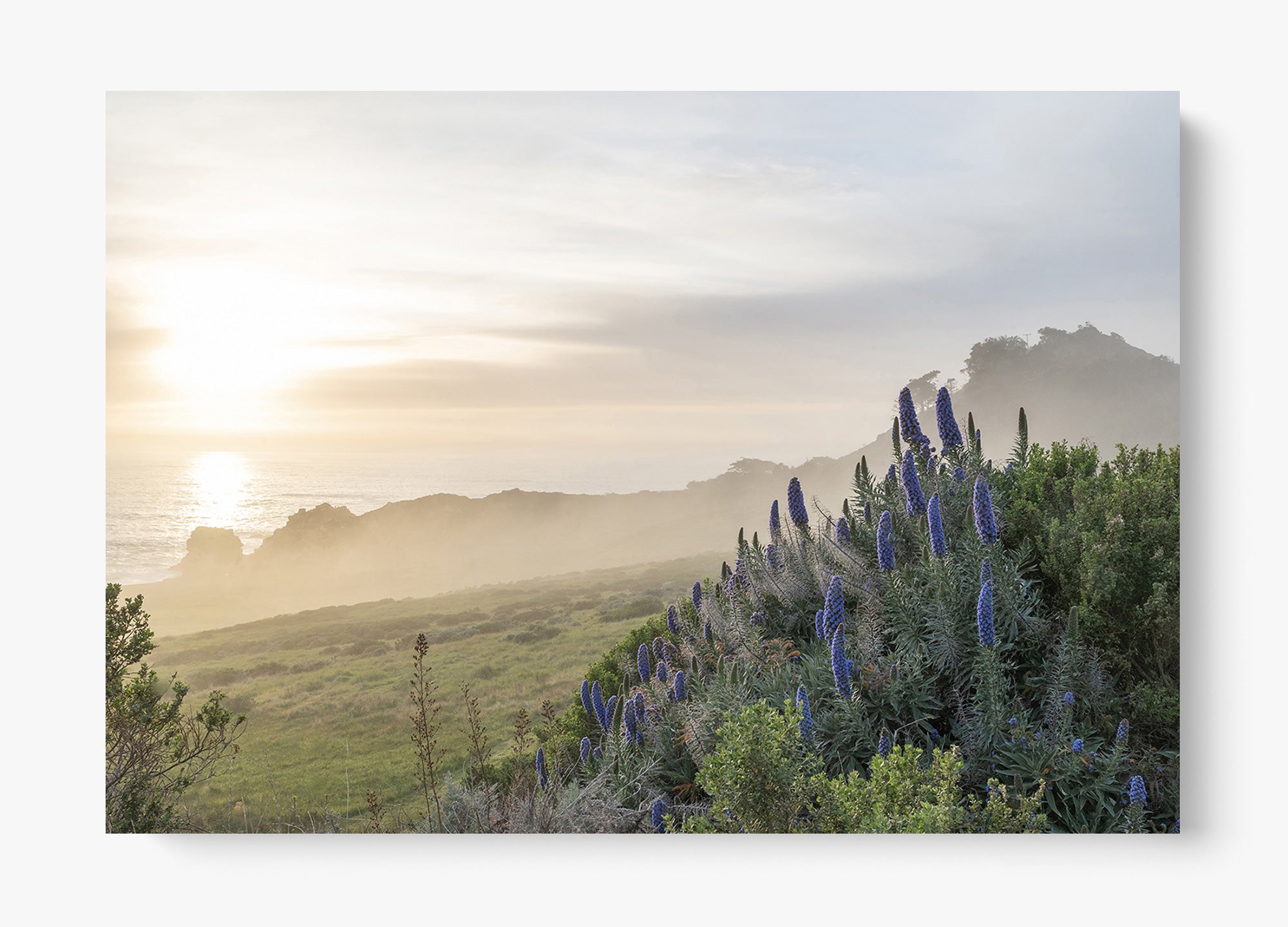 Wild Coast