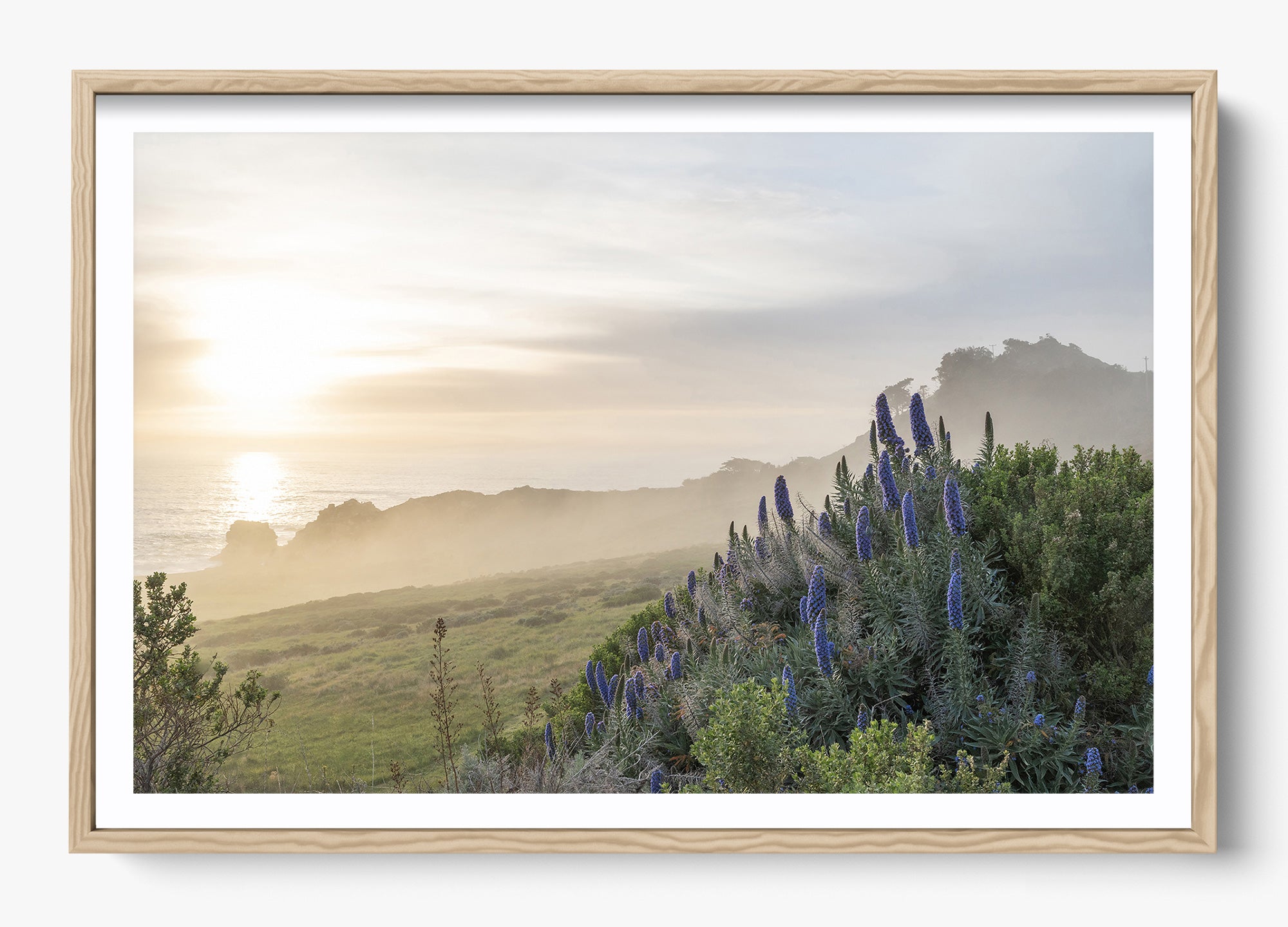 Wild Coast