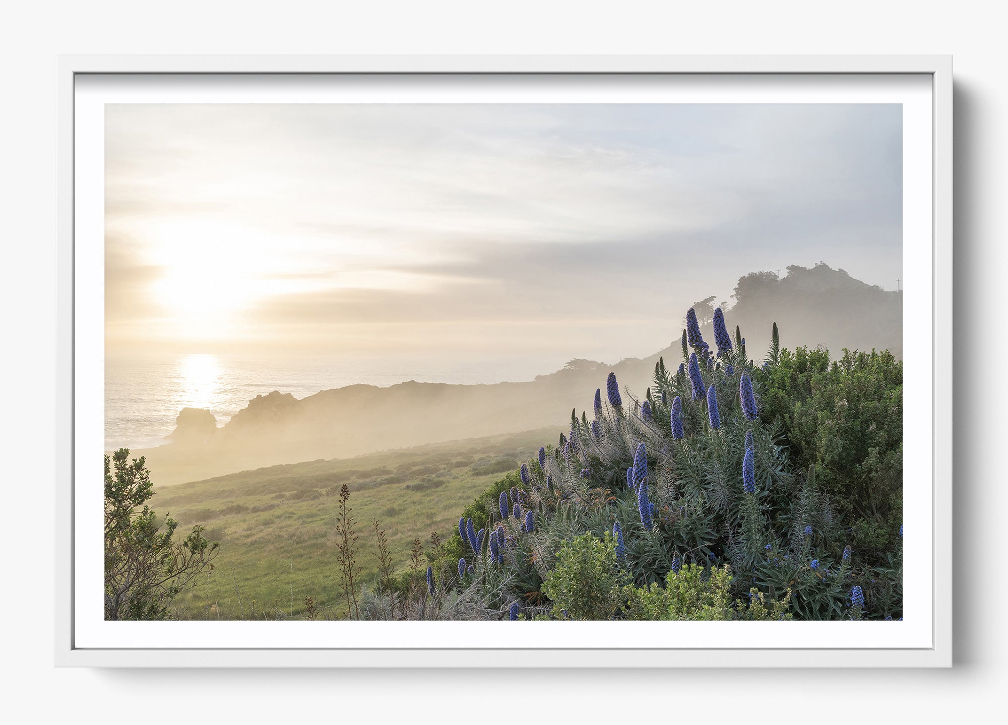 Wild Coast