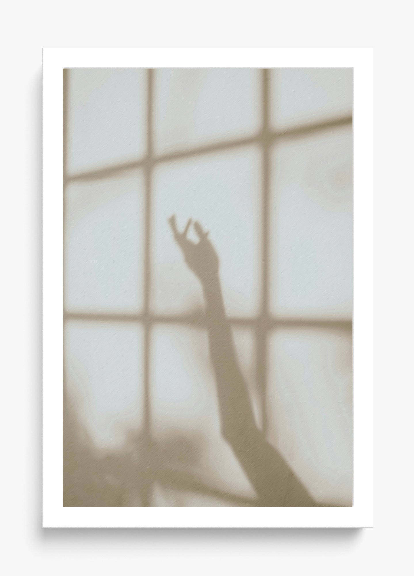 Morning Shadows