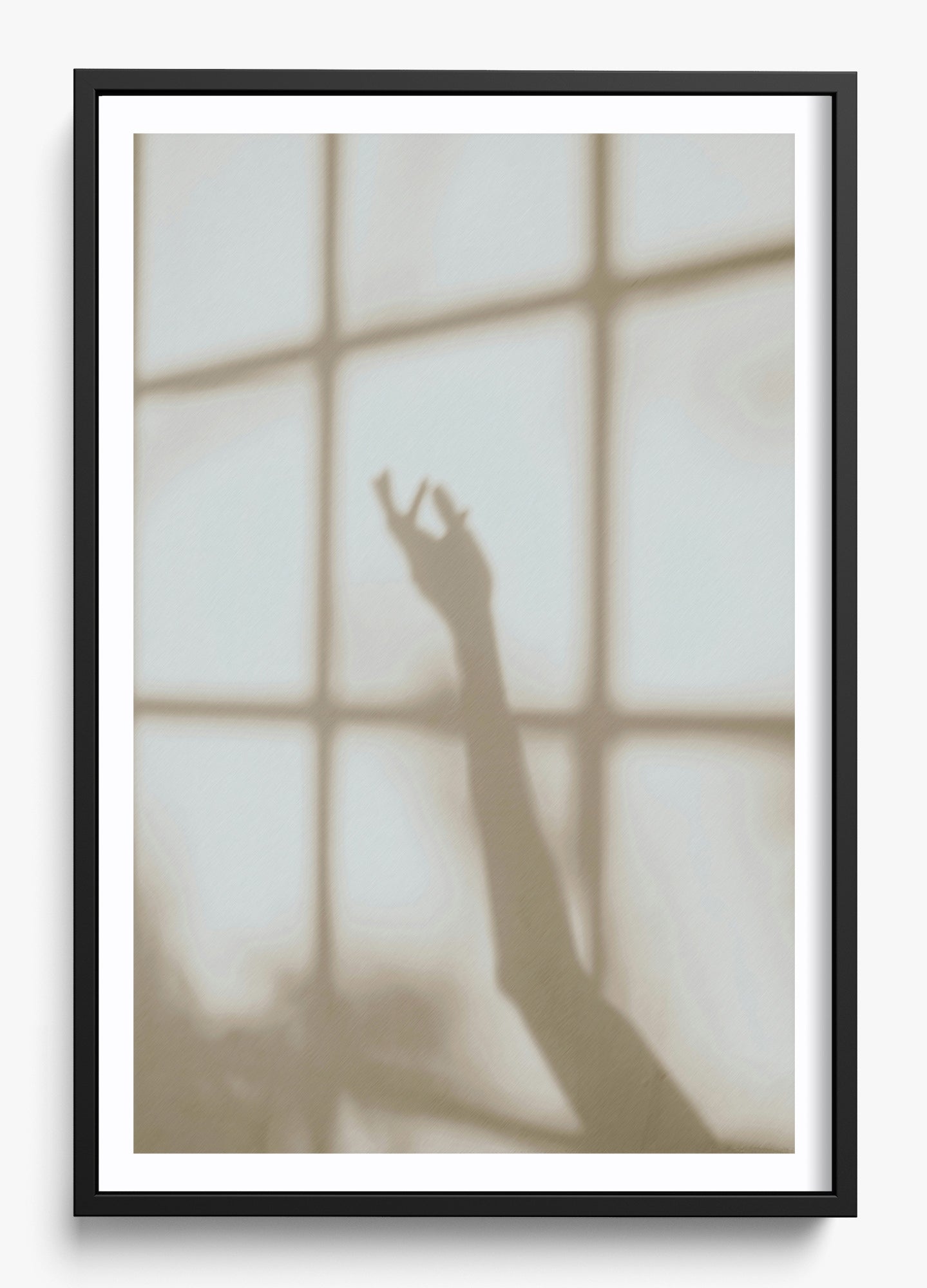 Morning Shadows