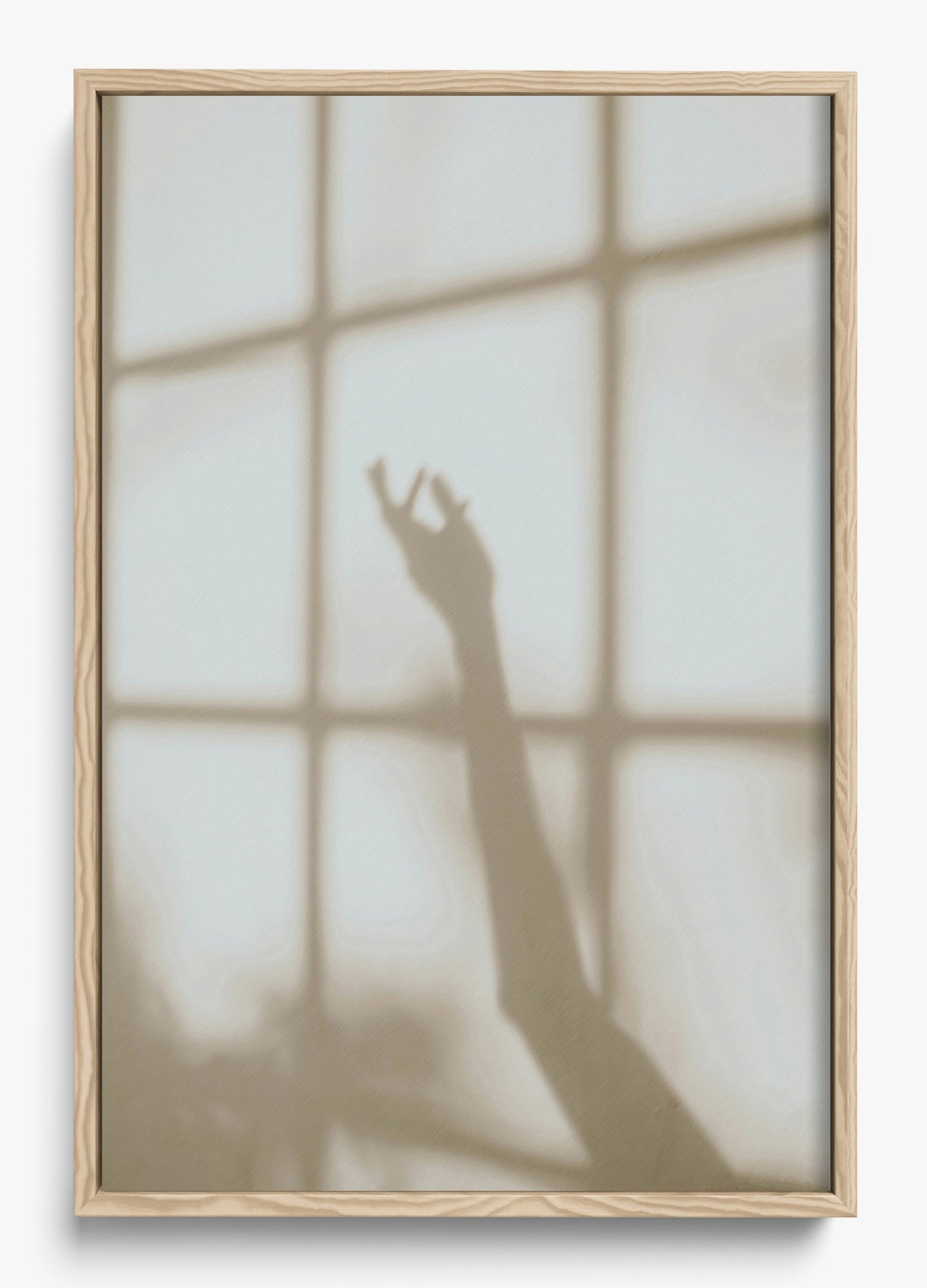 Morning Shadows
