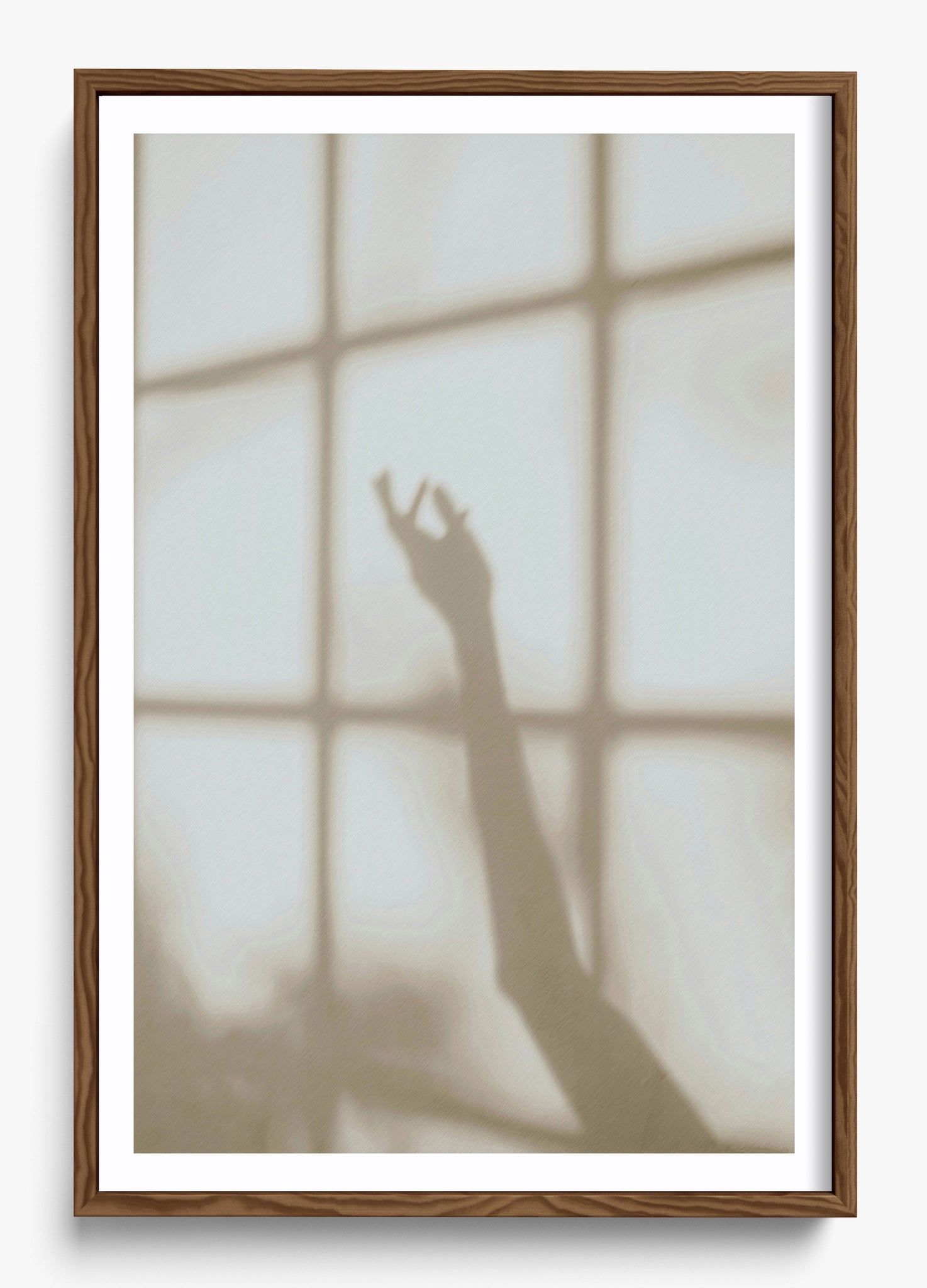 Morning Shadows