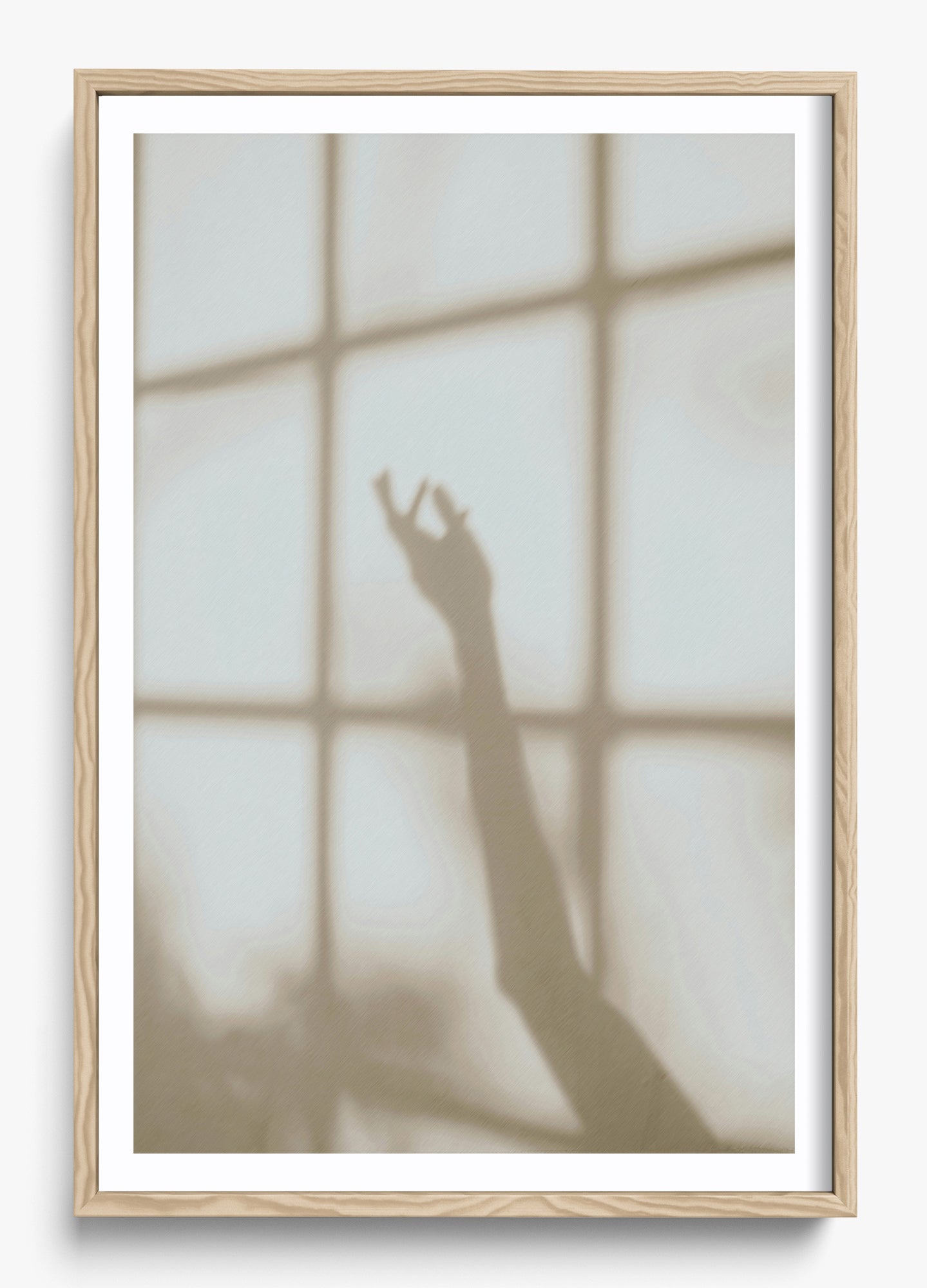 Morning Shadows