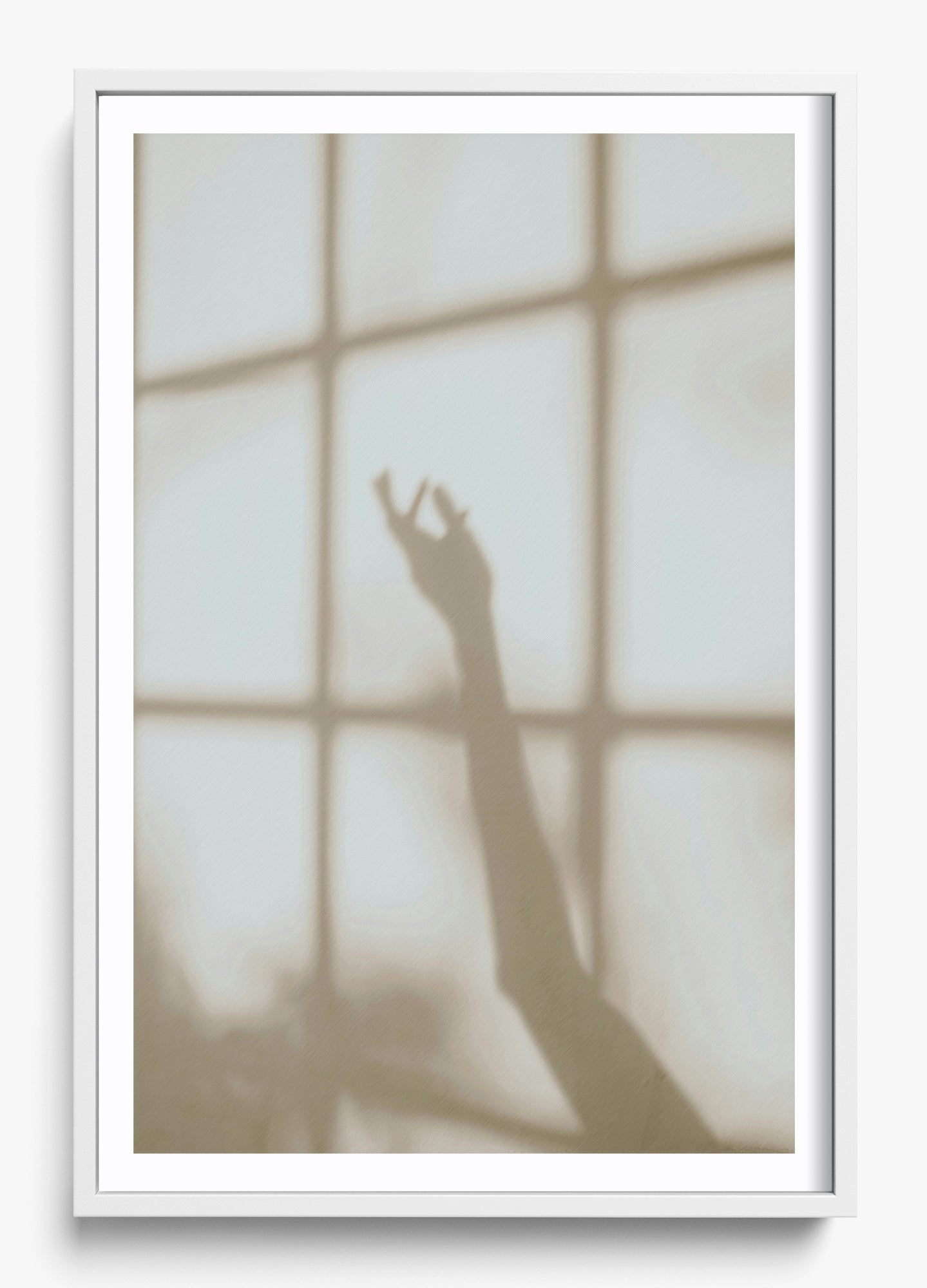Morning Shadows