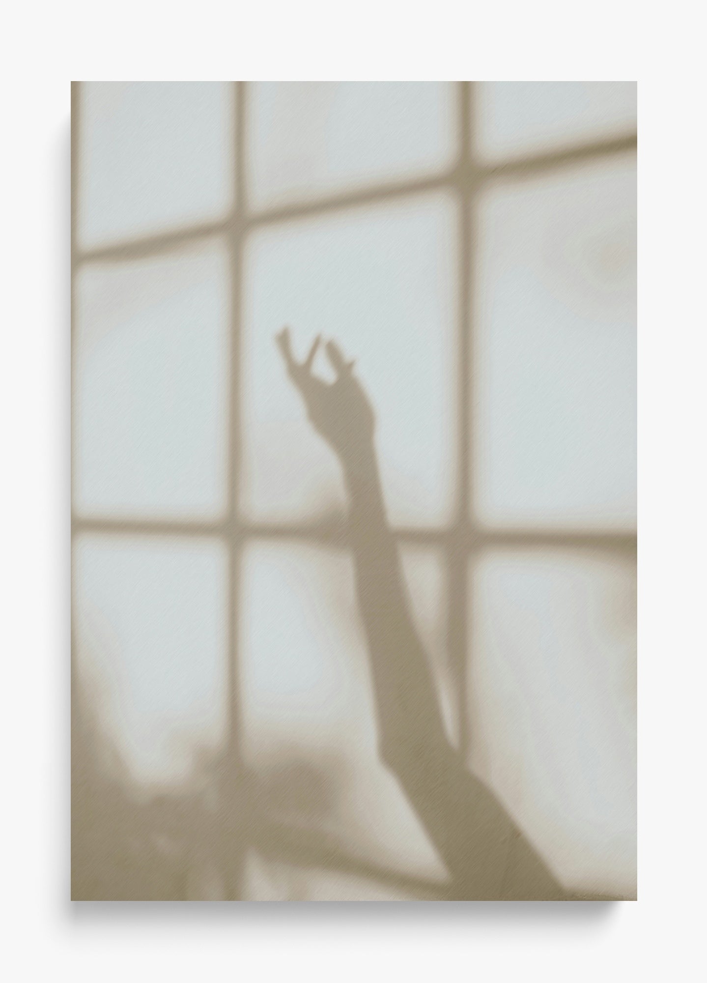 Morning Shadows