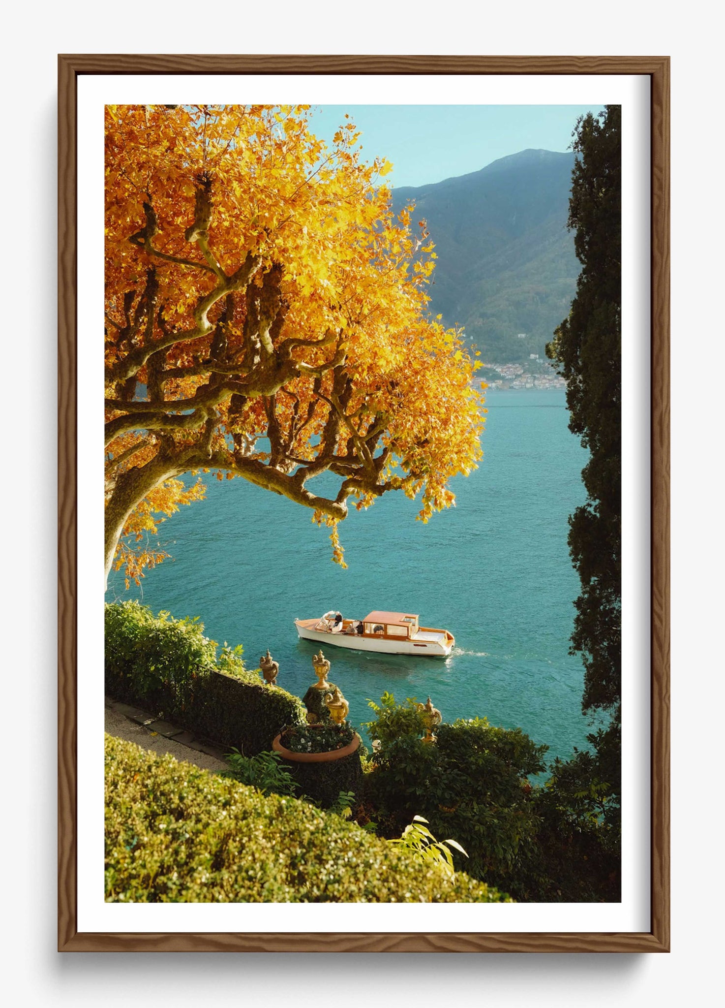 Autumn Cruise