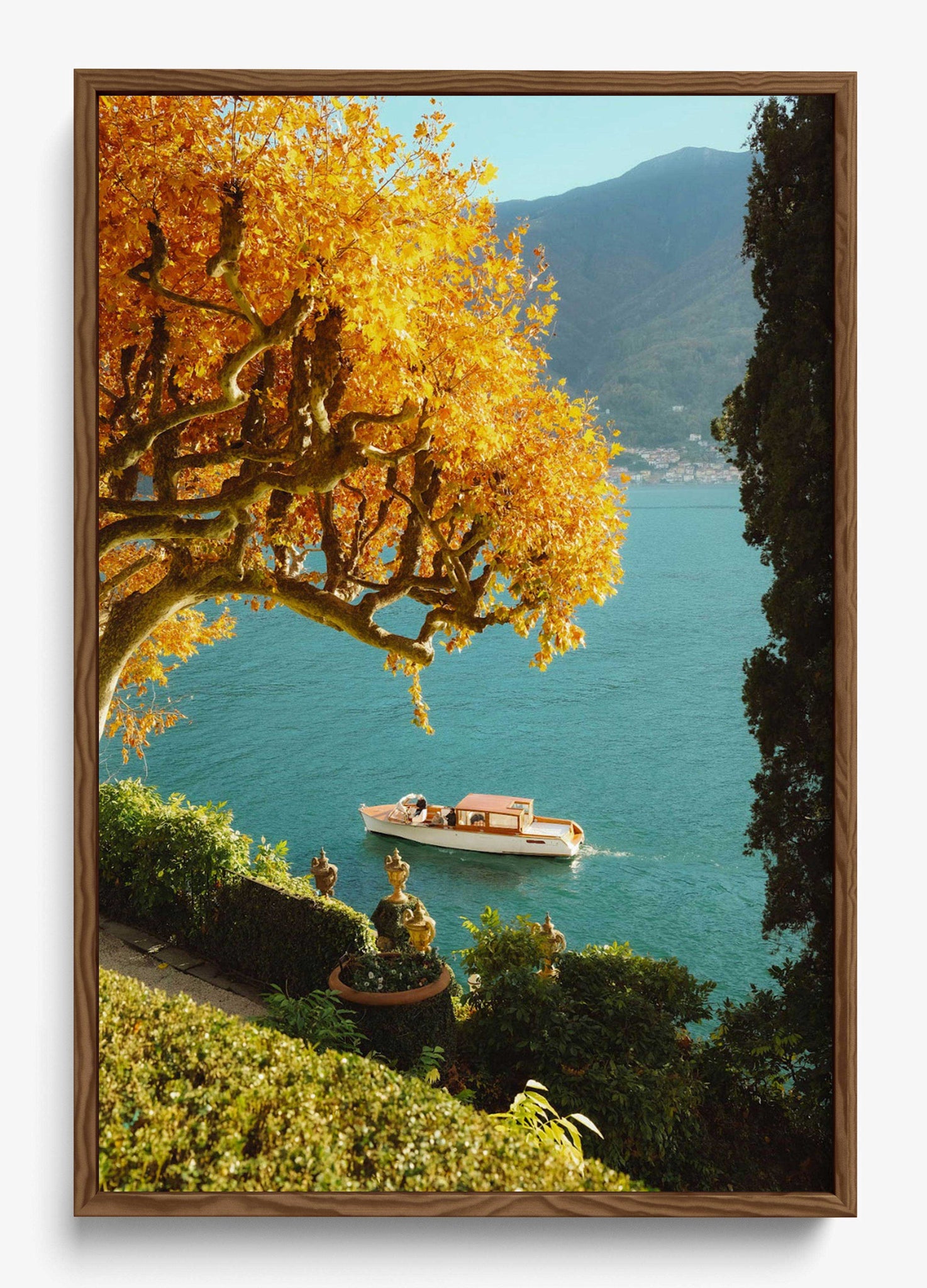 Autumn Cruise