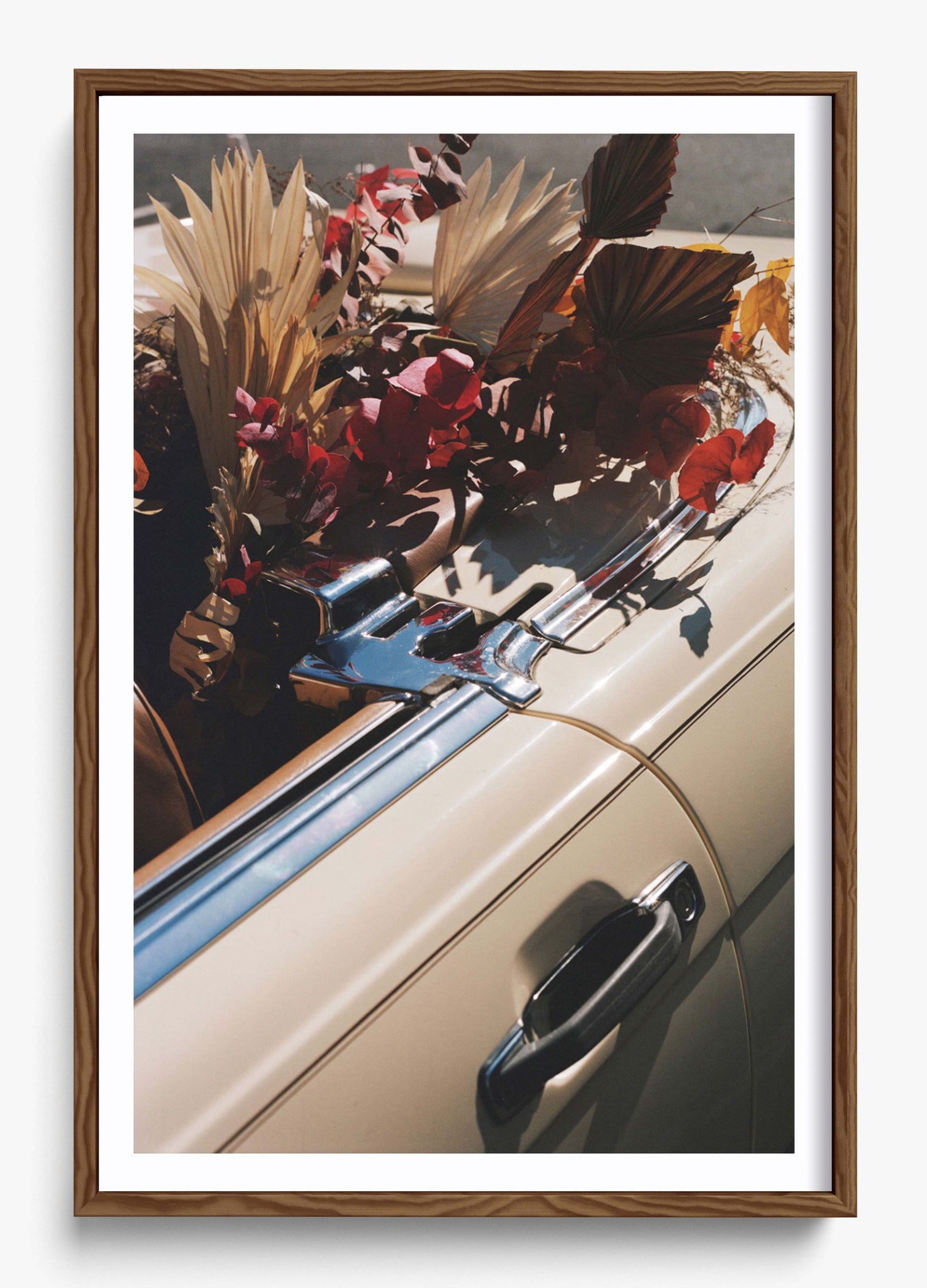 Autumn Cruiser