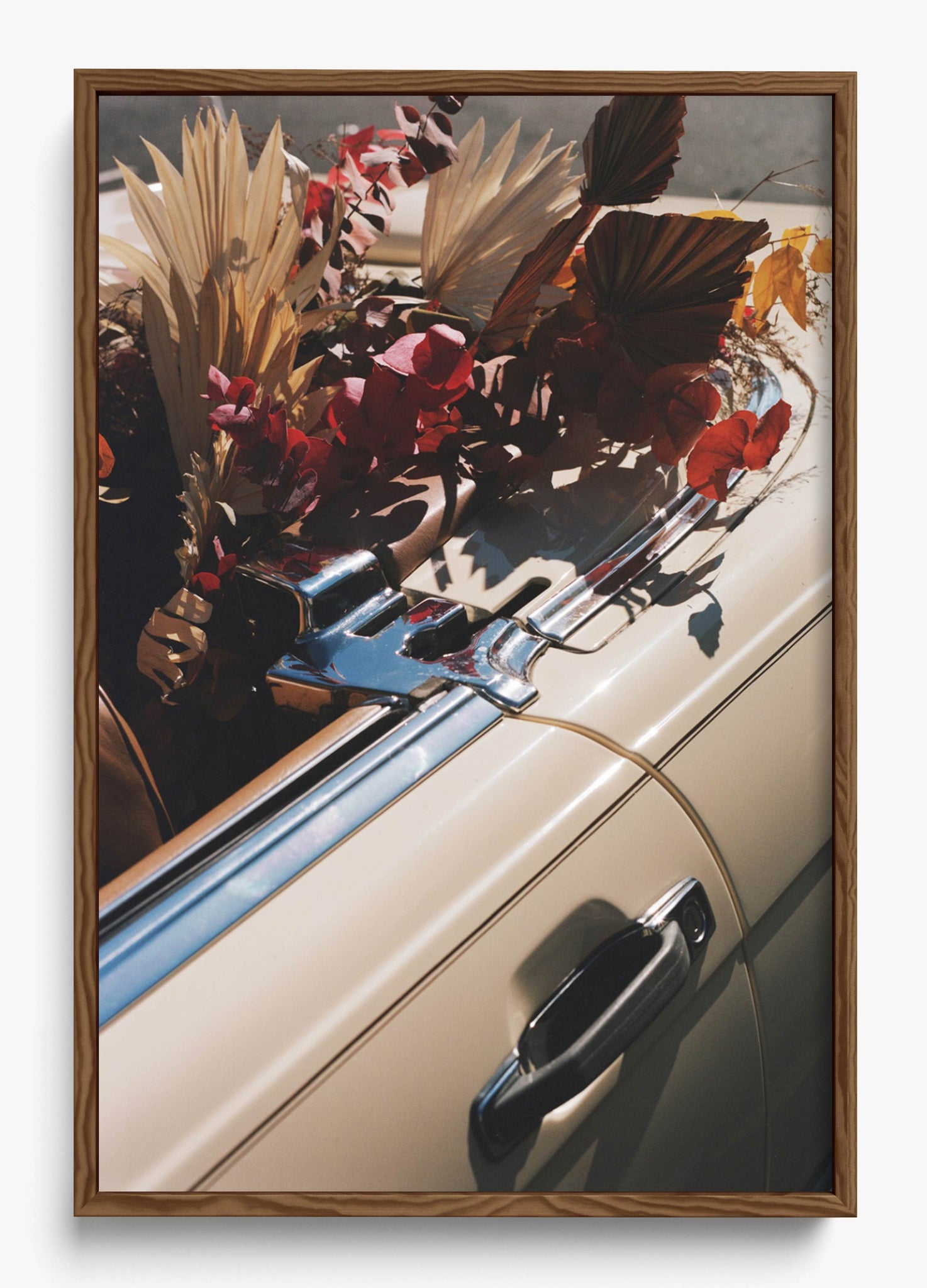 Autumn Cruiser