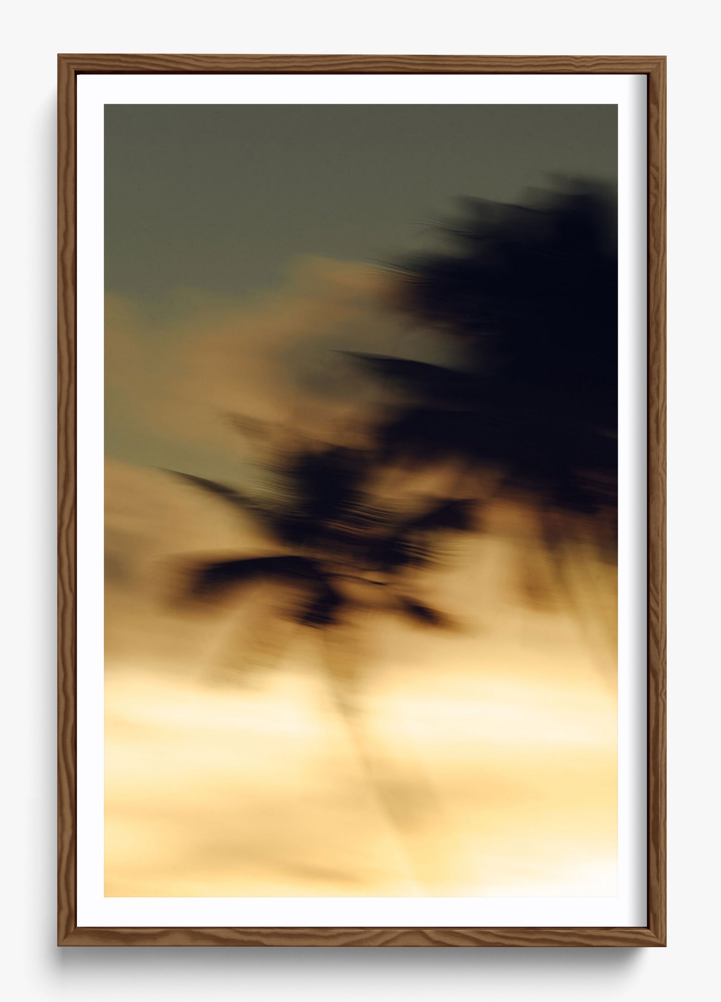 In Motion