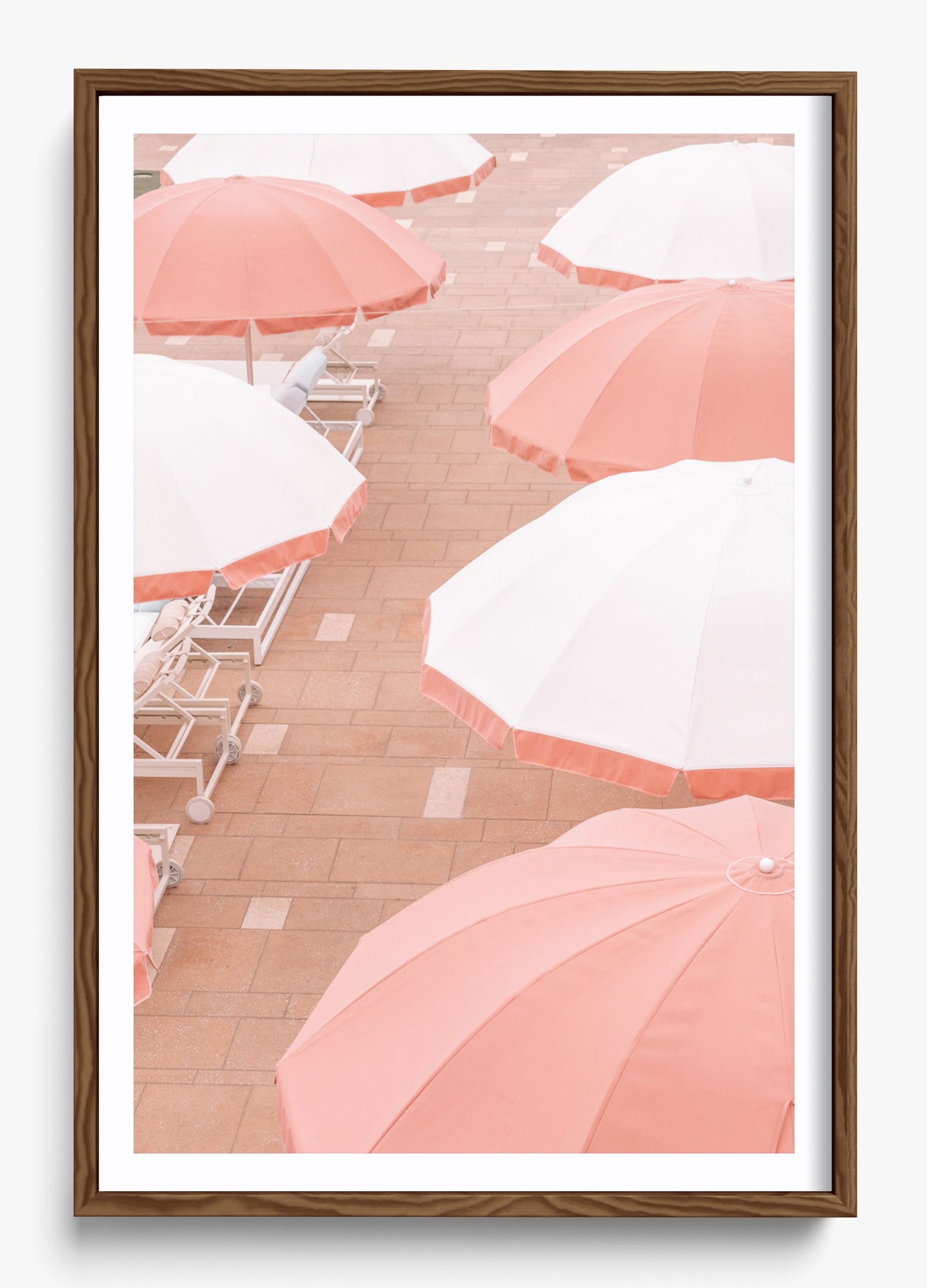 Coral Umbrellas